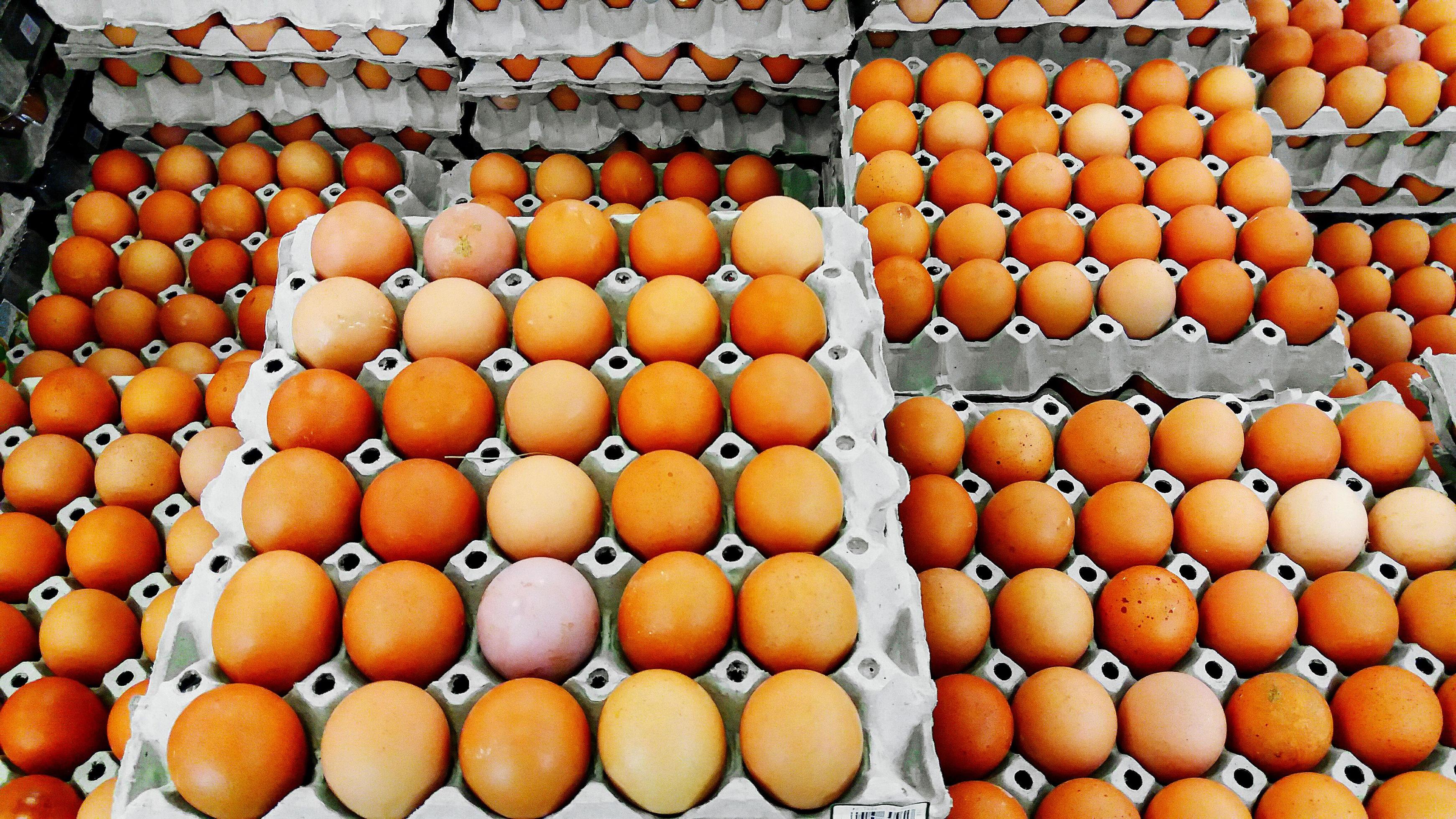 Fresh many egg in row on the nest eggs in the supermarket for sale. Healthy food and protein foods Stock Free