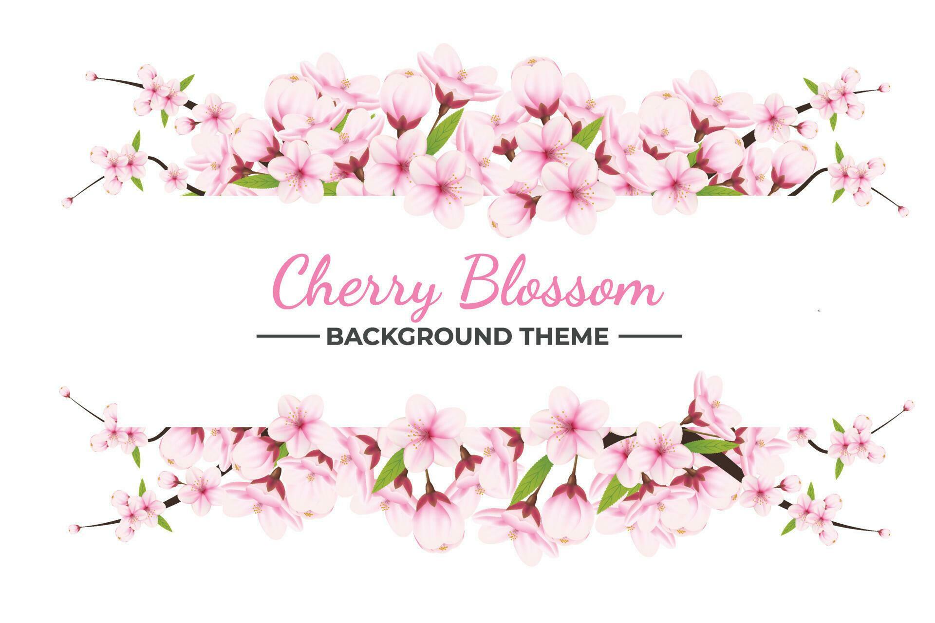 Realistic blooming cherry flowers and petals illustration,cherry blossom vector. pink sakura flower background. cherry blossom flower blooming vector Stock Free