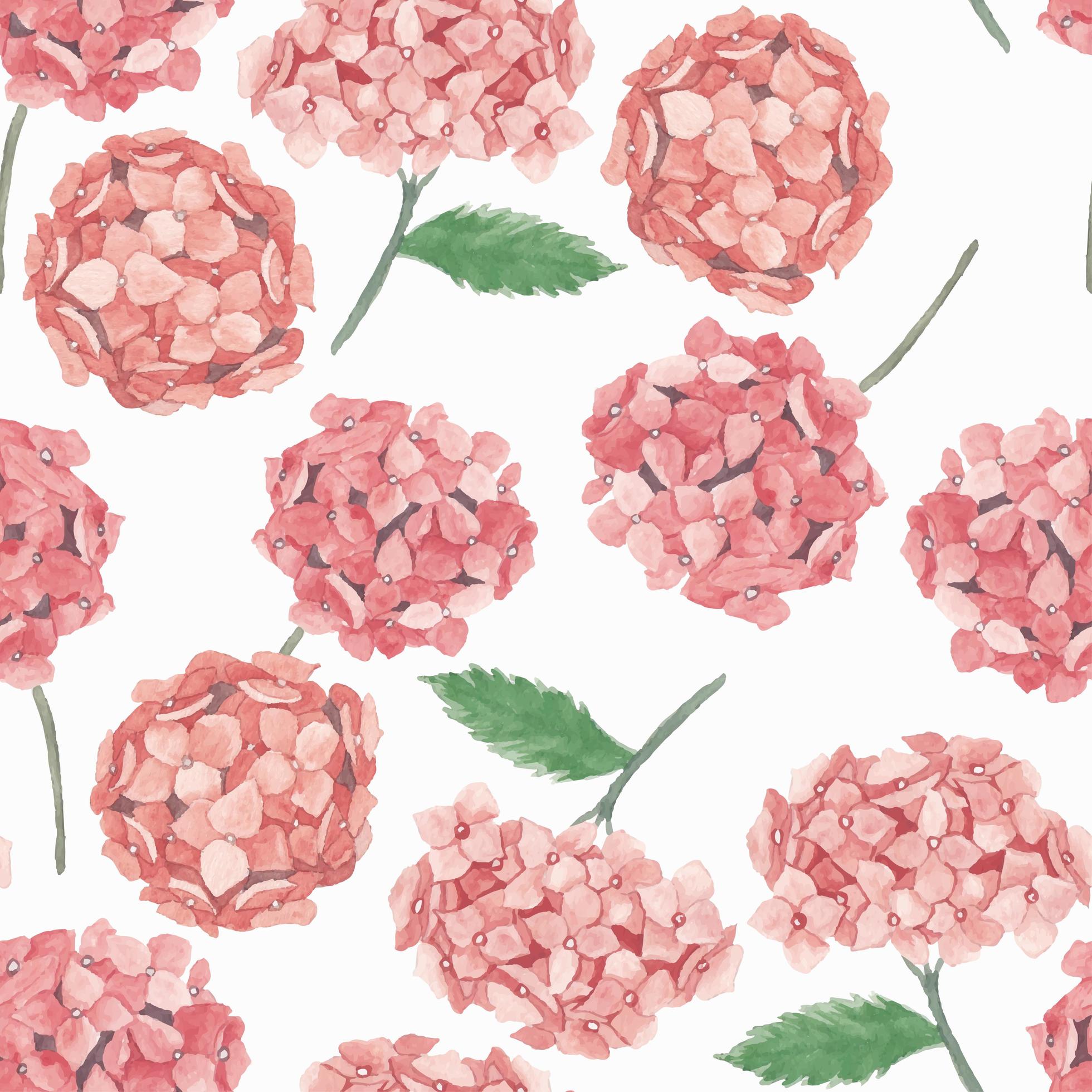 Pink hydrangea flower watercolor pattern Stock Free