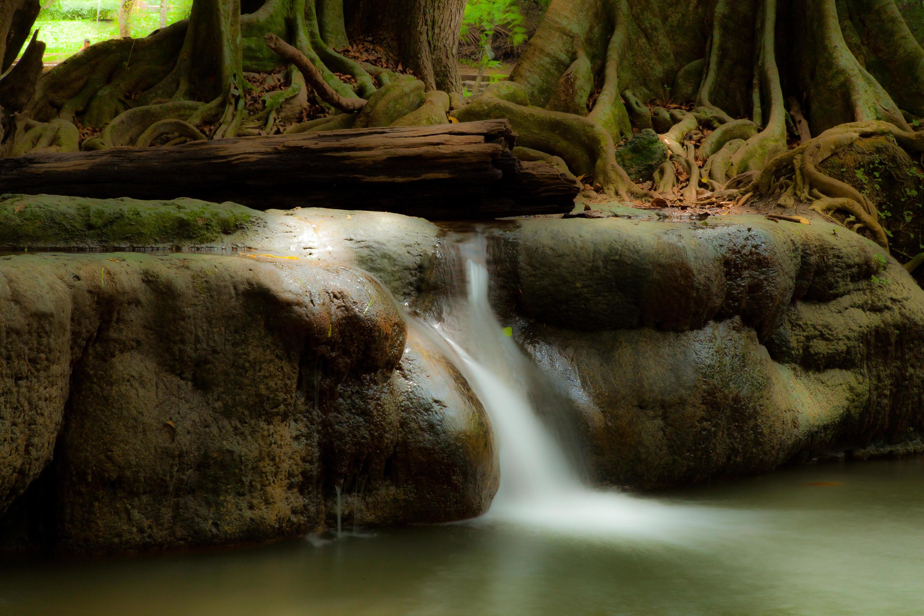 Waterfall in nature Stock Free