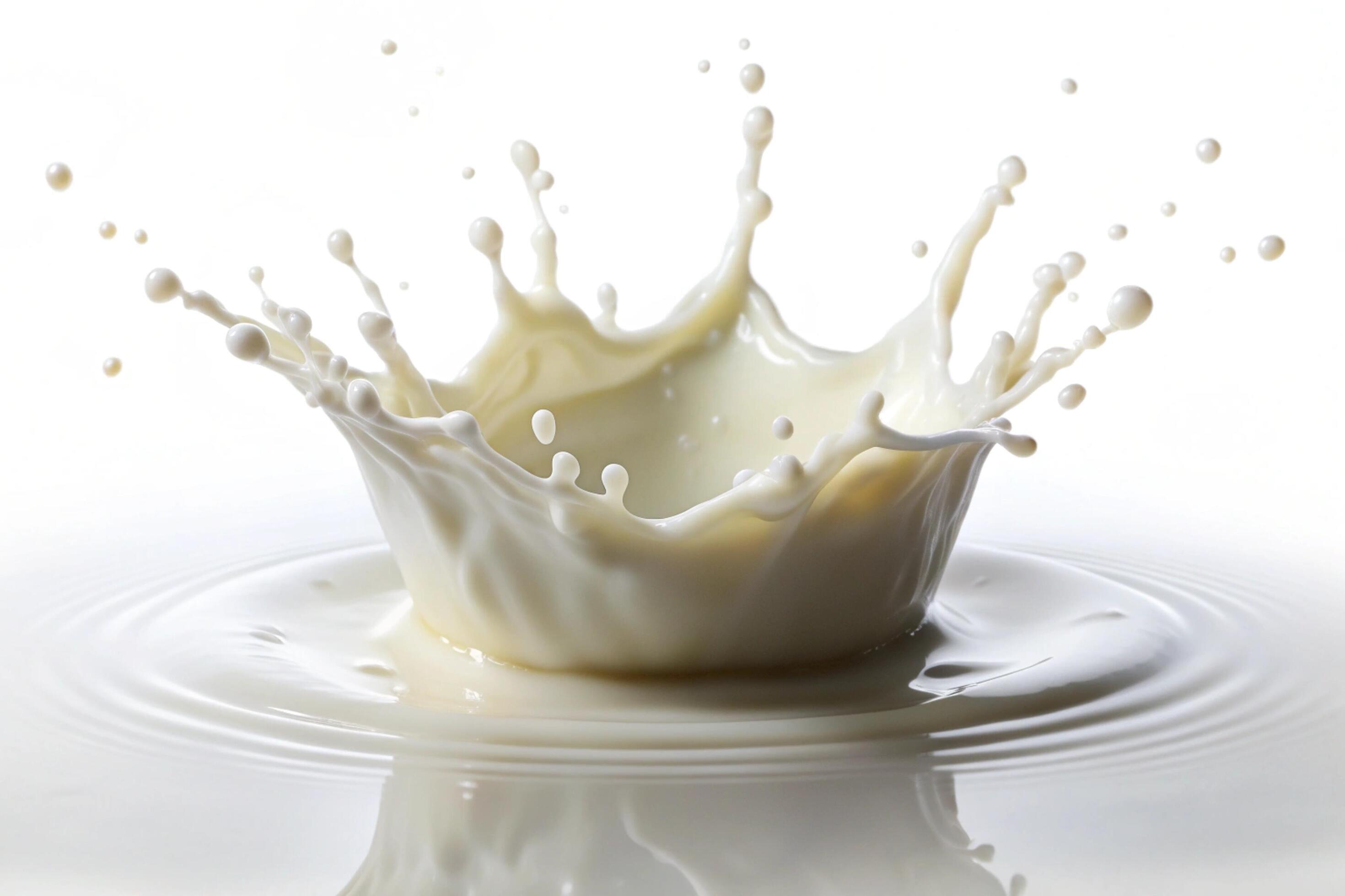 Milk splashes on white background Stock Free