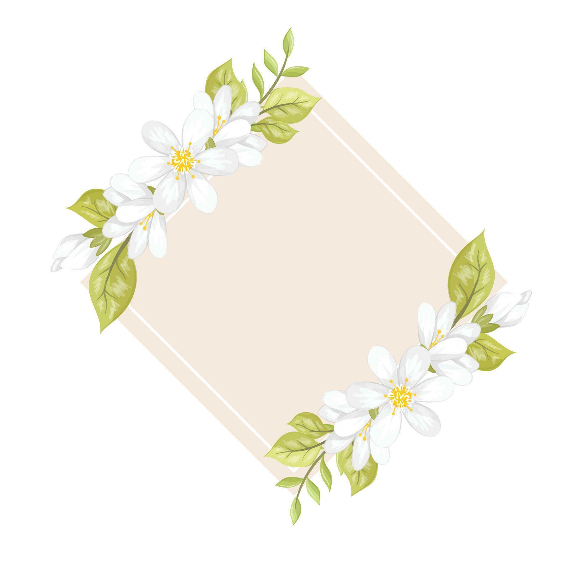 white flowers frame Stock Free