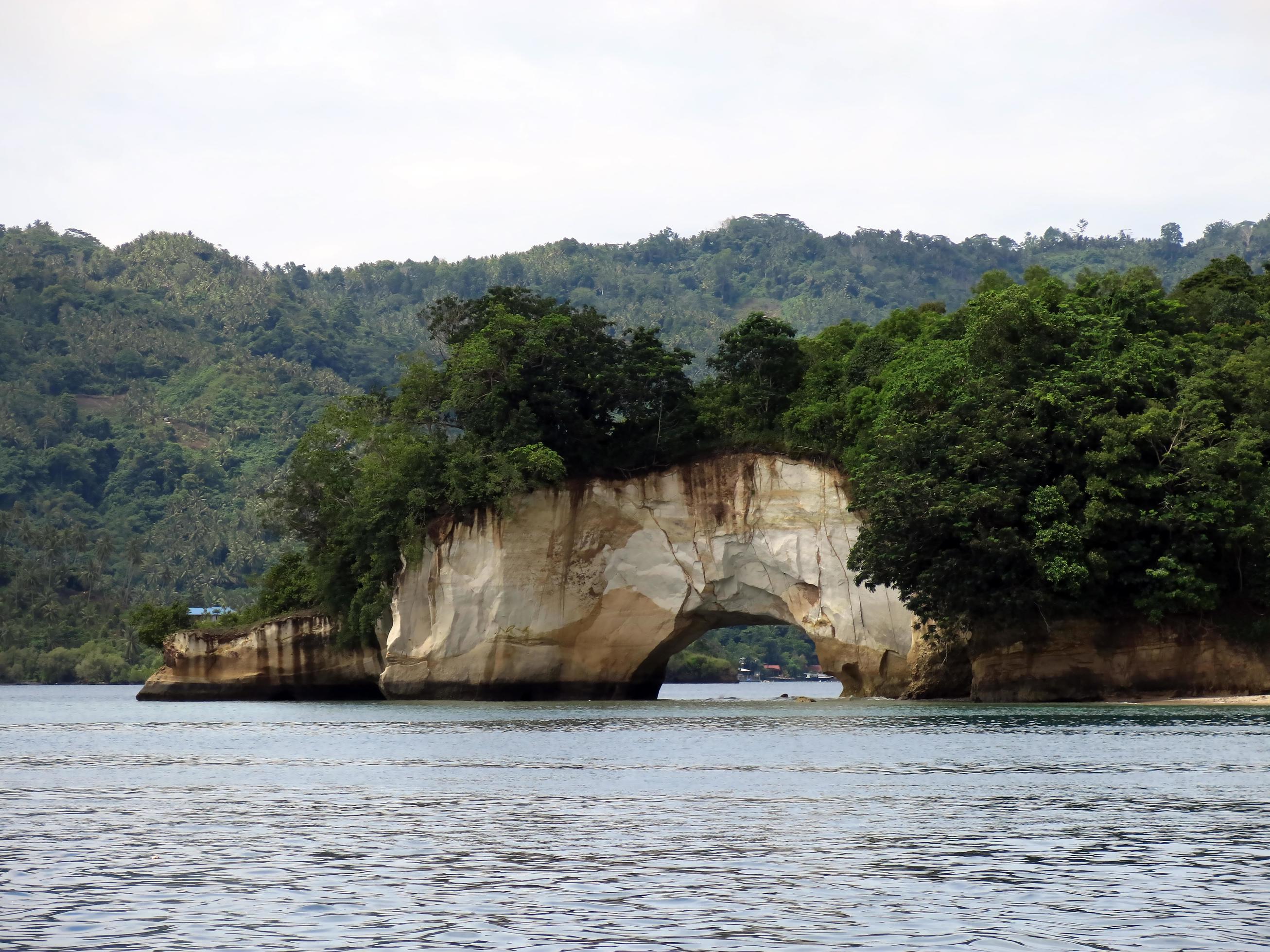 
									The nature of the Lembeh Strait. Stock Free