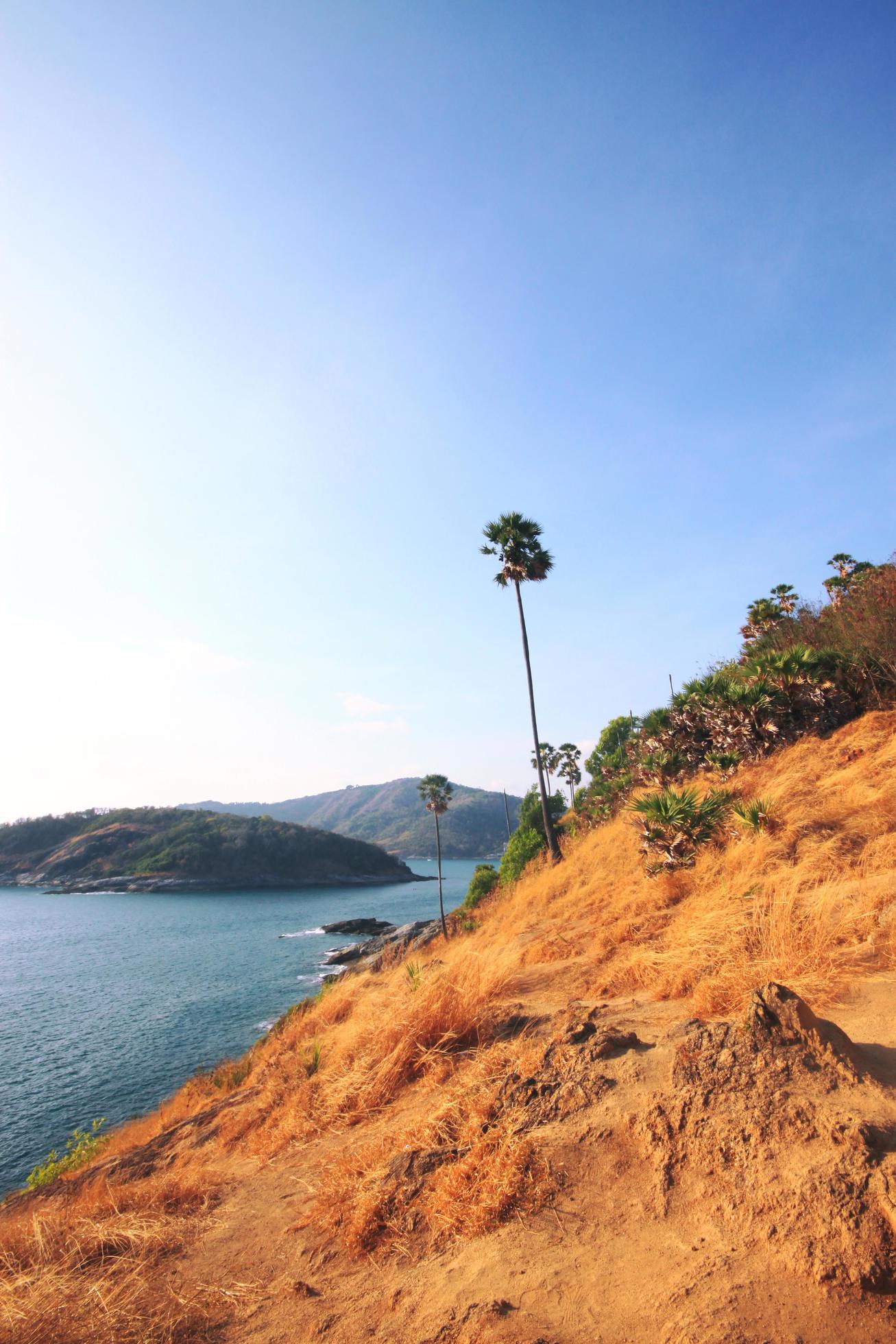 Beautiful seascape with sky twilight of sunset and Palm tree with Dry grass field on mountain of Phrom Thep Cape in Phuket island, Thailand. Stock Free