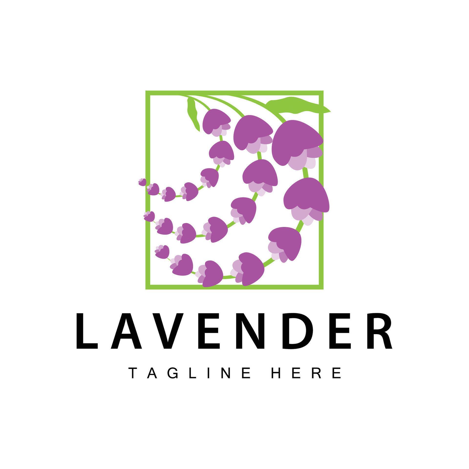 Lavender logo simple design vector cosmetic plant purple color and aromatherapy lavender flower garden template Stock Free