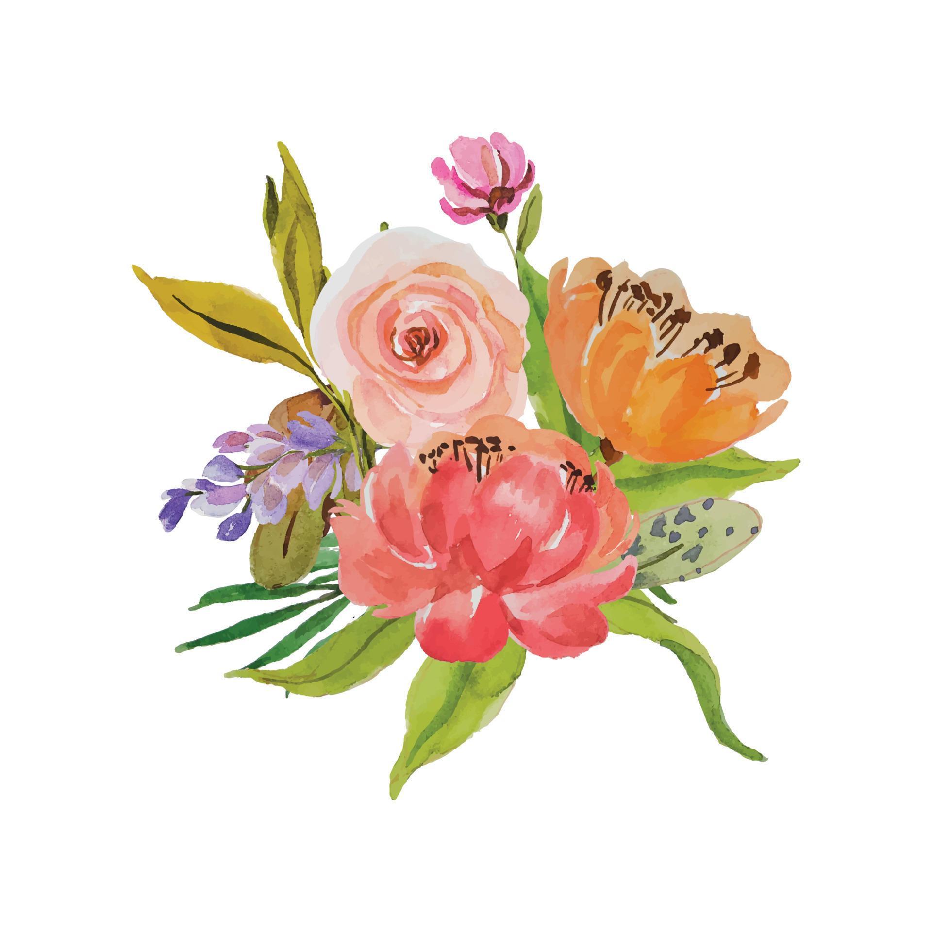 watercolor flower bouquet clipart Stock Free