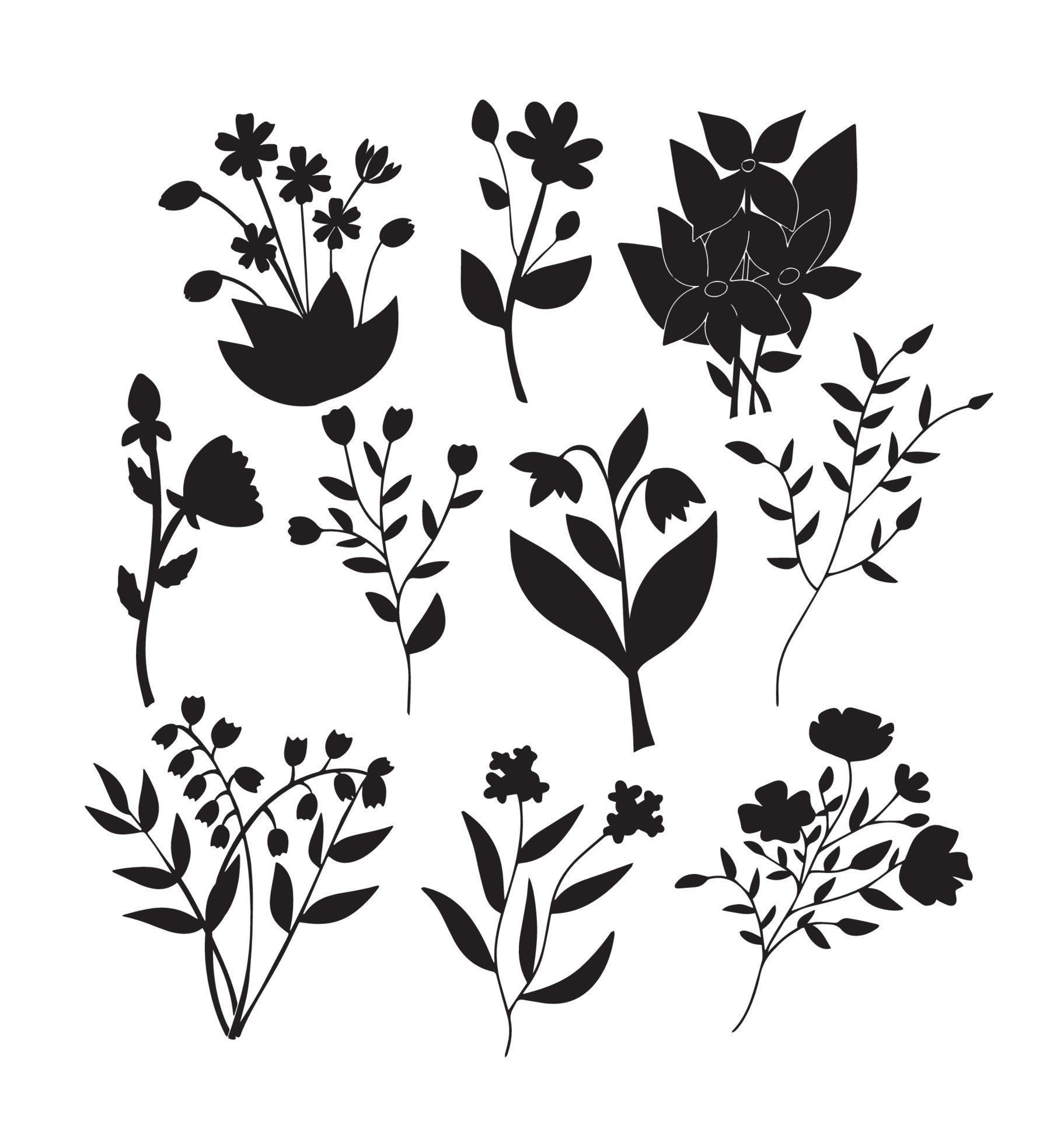 
									Concept big set vector different flowers plants black silhouette on white background Stock Free