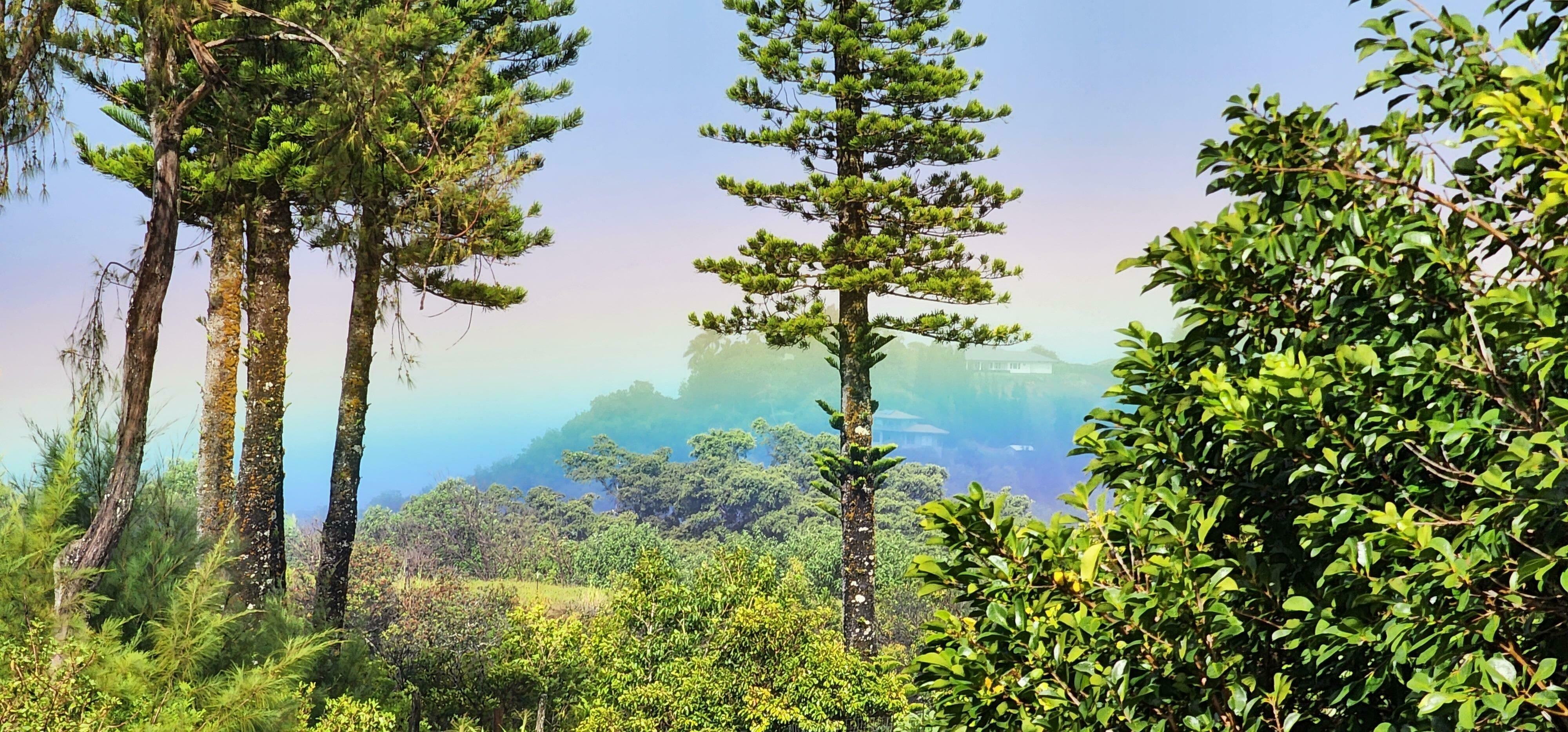 Rainbow mist on the Hawaiian coast Stock Free