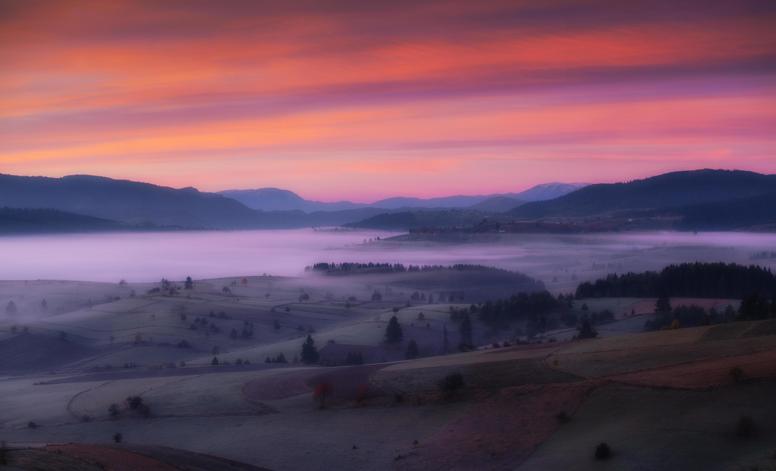 spacious meadow in the early morning Stock Free