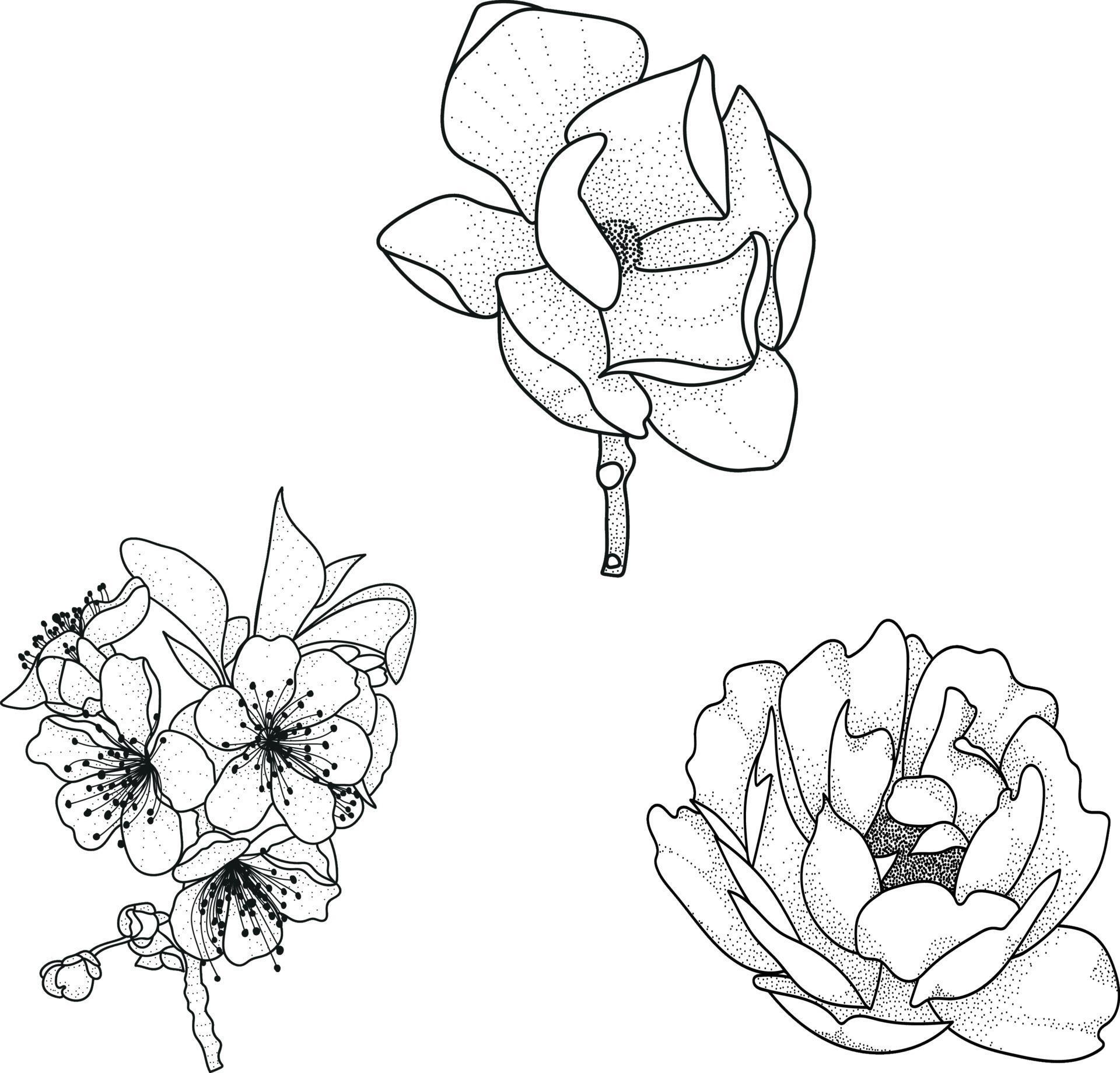 set of flowers vector eps Stock Free