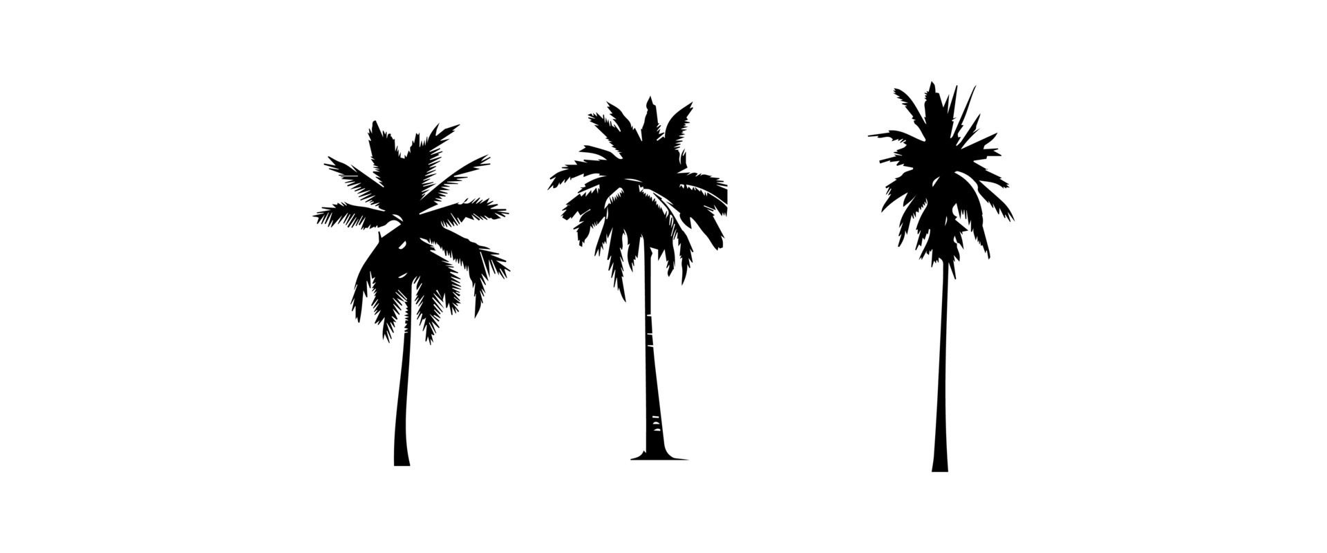 Black palm trees set isolated on white background. Palm silhouettes. Design of palm trees for posters, banners and promotional items. illustration Free Vector