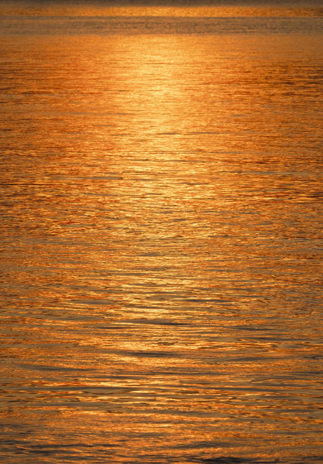 Slight blur motion of colorful golden sunlight reflection on river surface at sunset time in vertical frame Stock Free