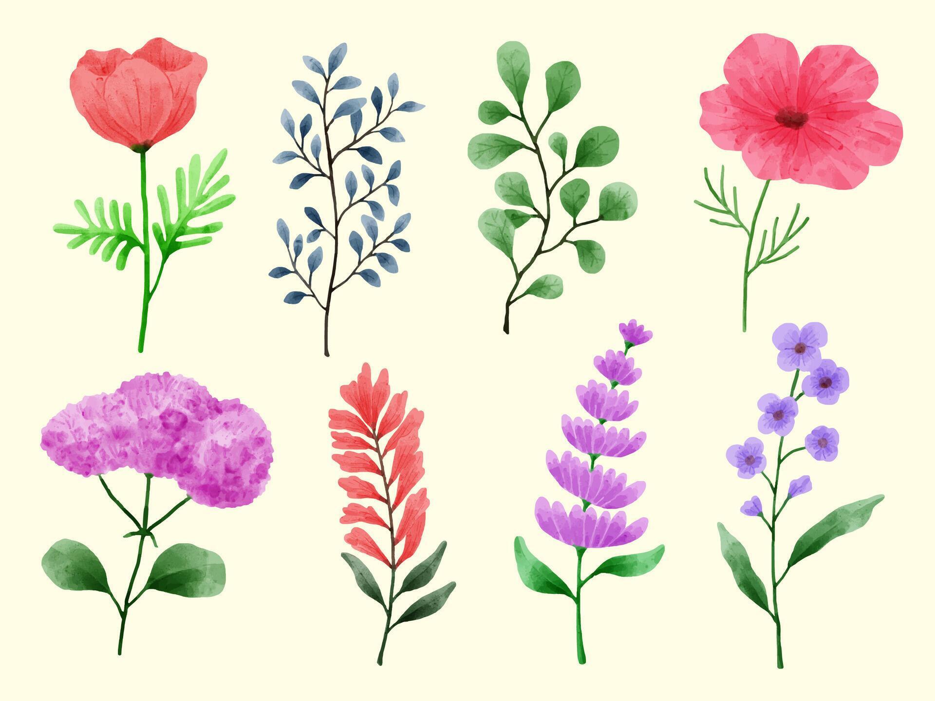 A set of flowers painted in watercolor for various cards and greeting cards. Stock Free