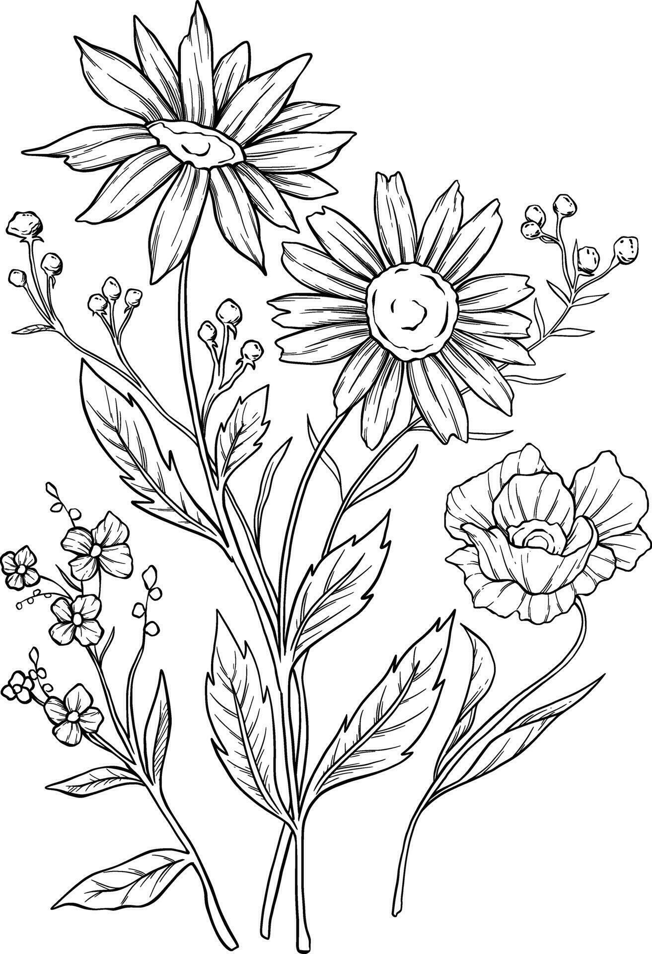 Wild flower botanical boquet sketc illustration Stock Free