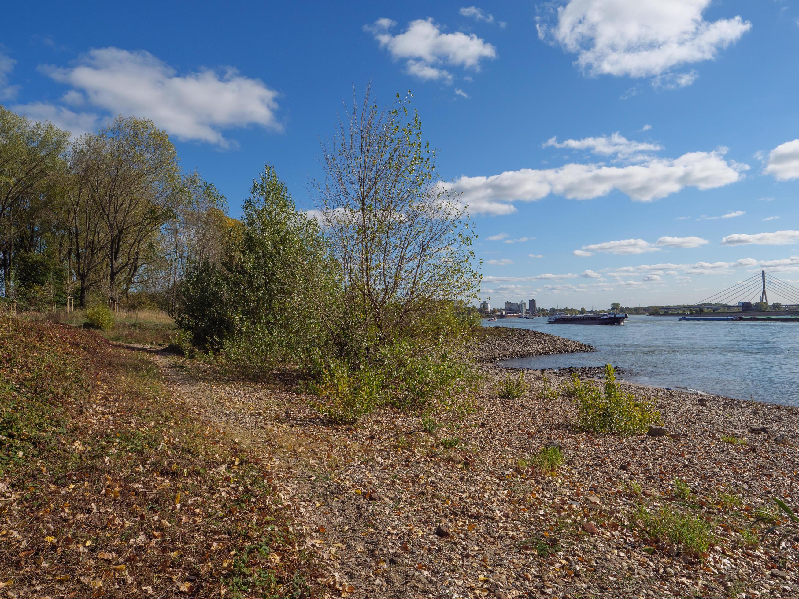 the river rhine near wesel Stock Free