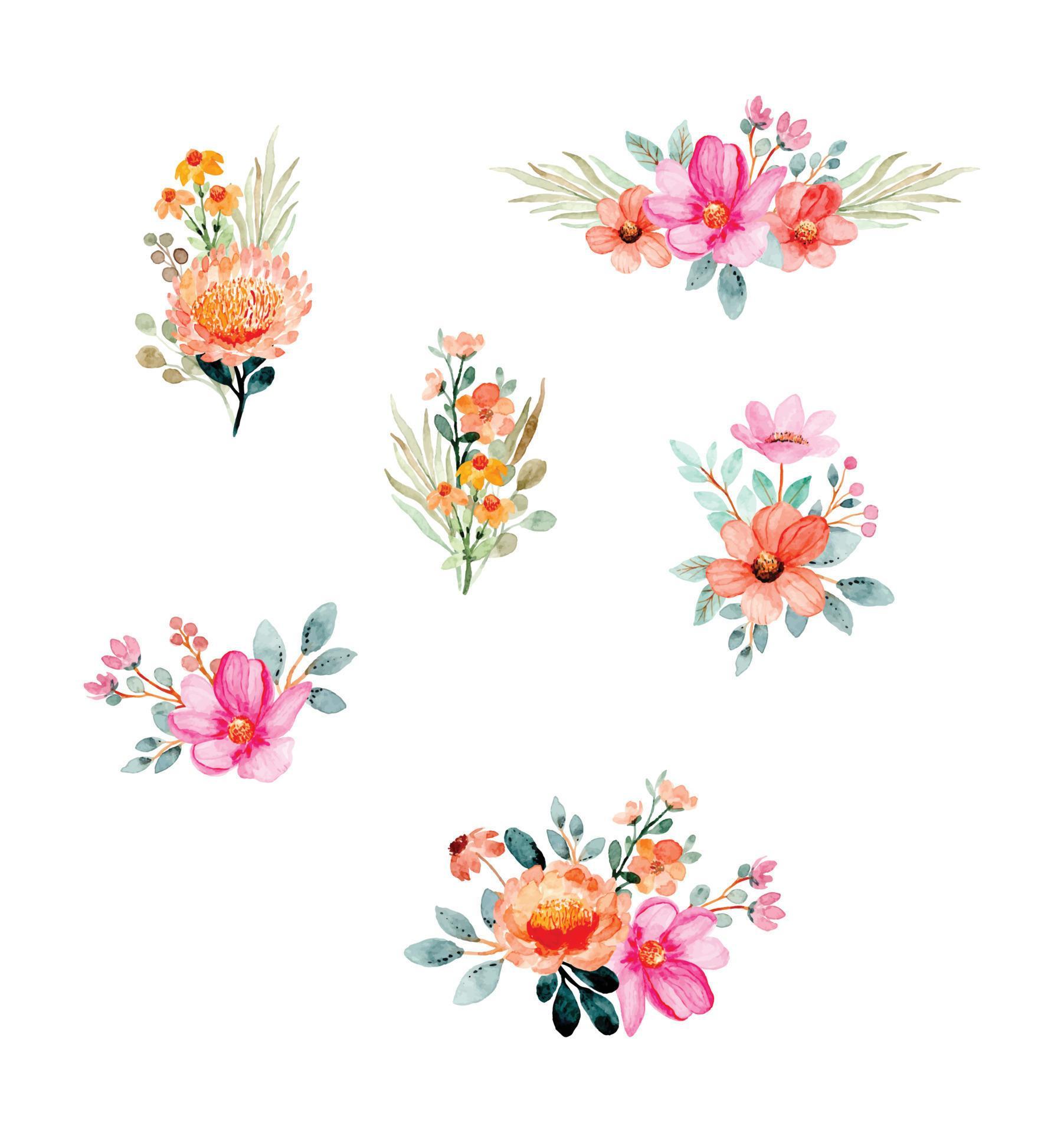 Free Watercolor Flower Vector Collection Stock Free