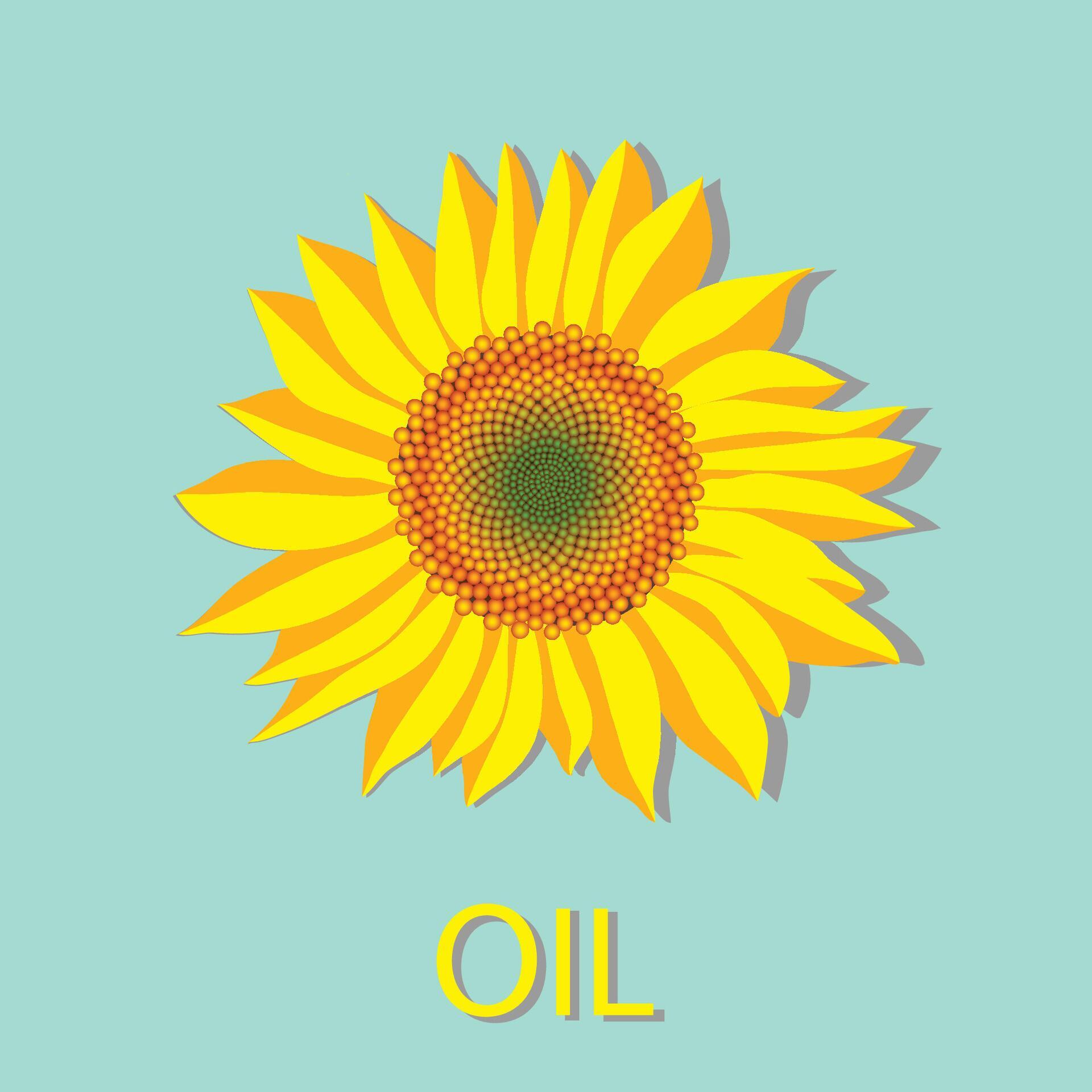 Vector illustration of sunflower flower head top view and oil lettering Stock Free