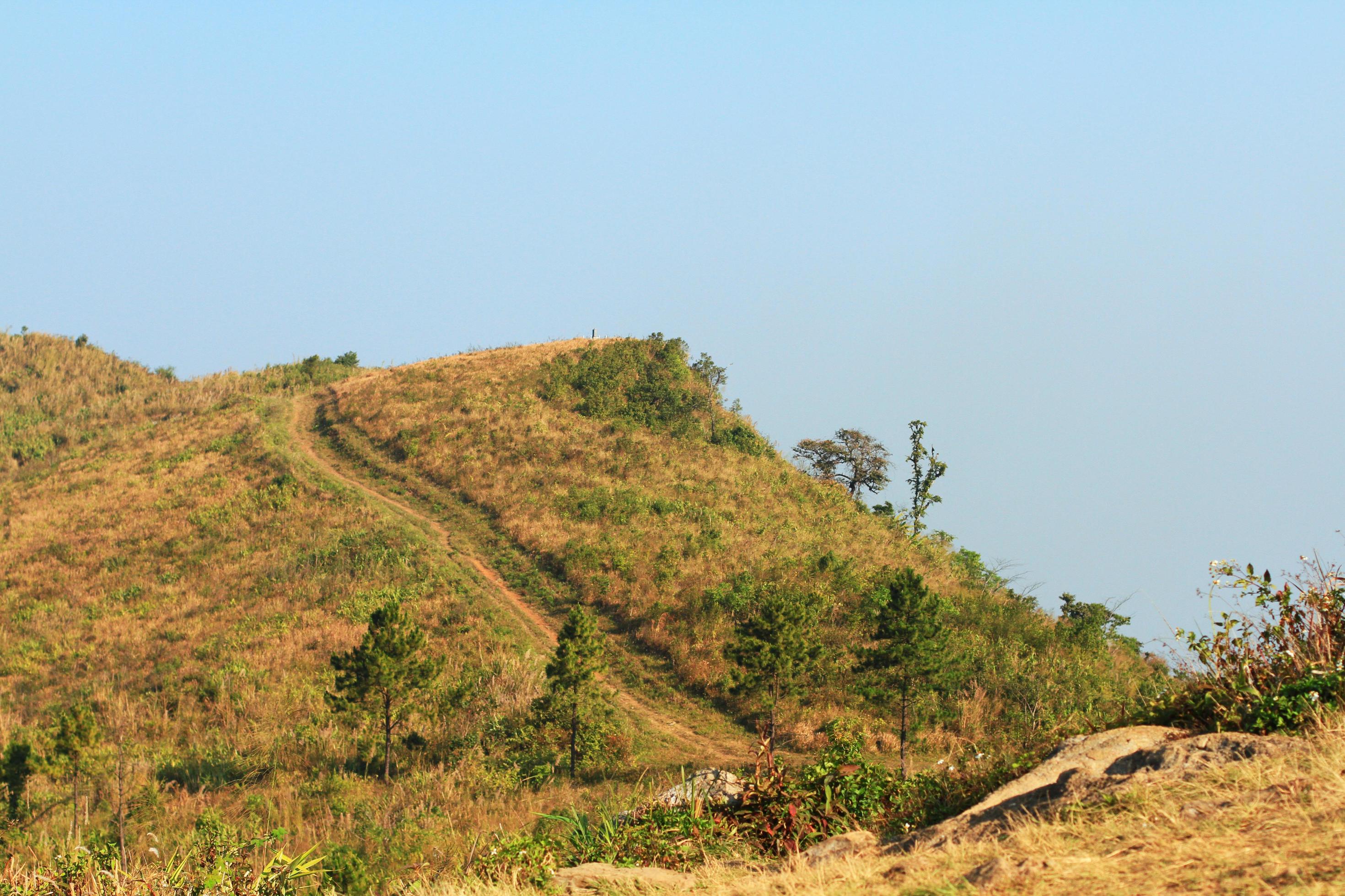 Dry grass wild with blue sky on the valley mountain. Stock Free