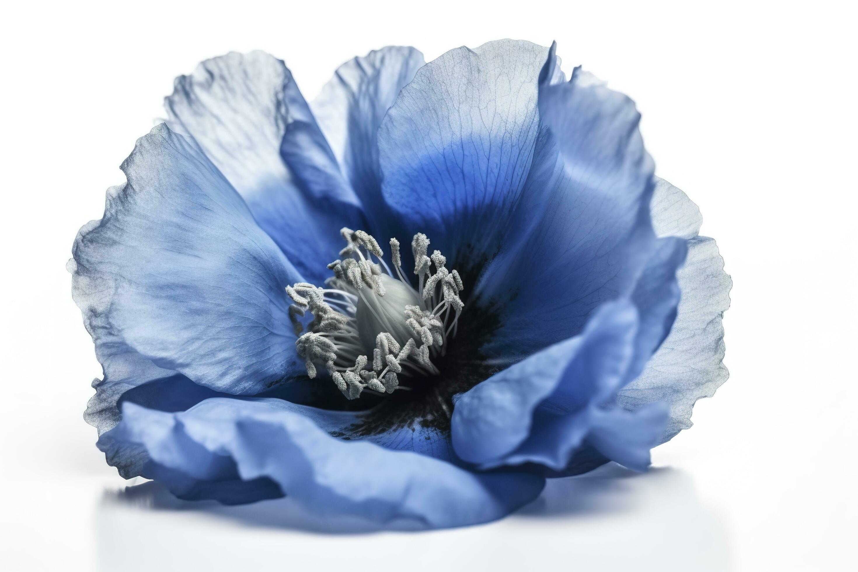 Blue flower isolated on white background, png with transparency , generate ai Stock Free