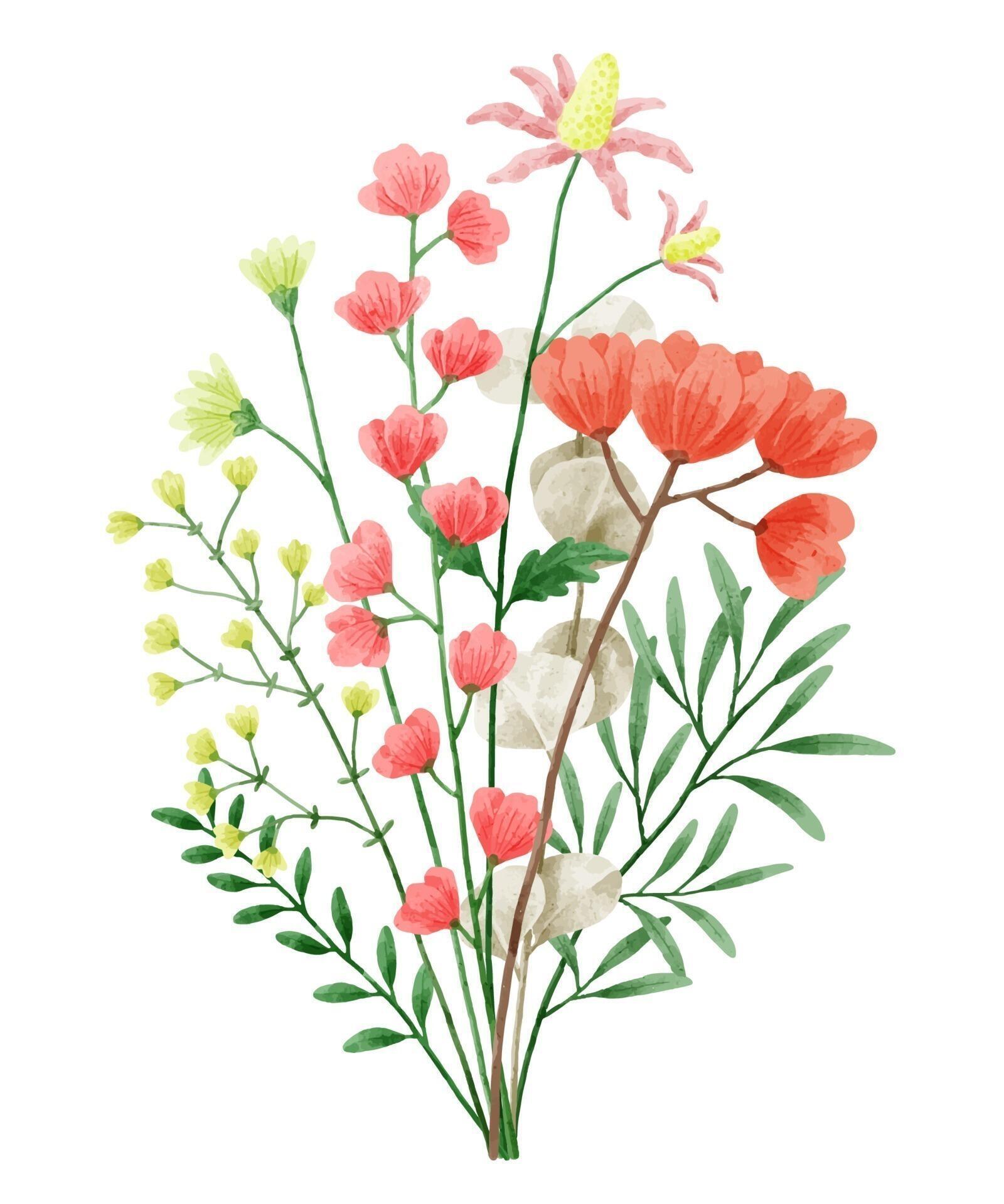 A set of flowers painted in watercolor for designer work create Stock Free