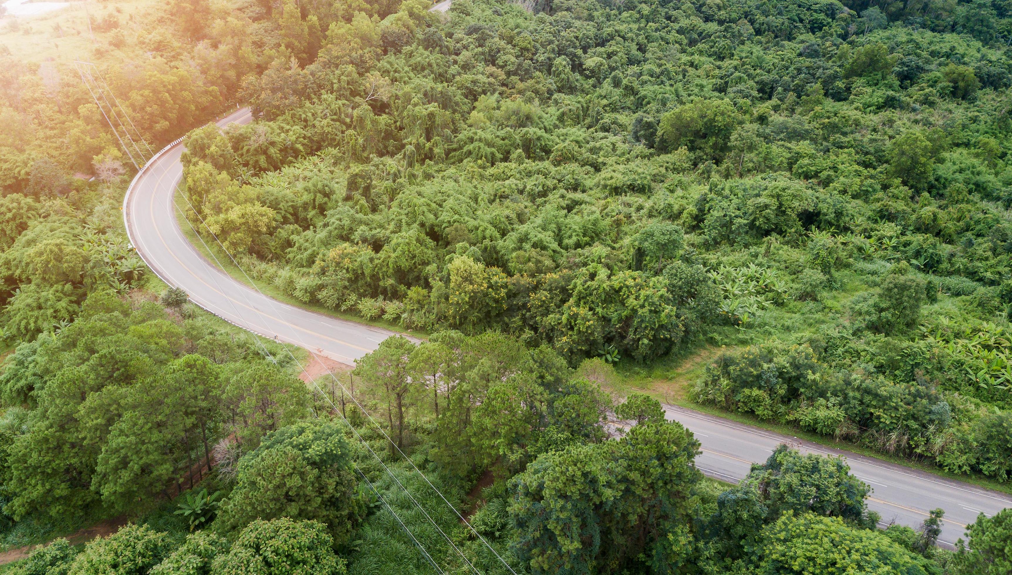 road in the mountains surrounded by a green forest Stock Free