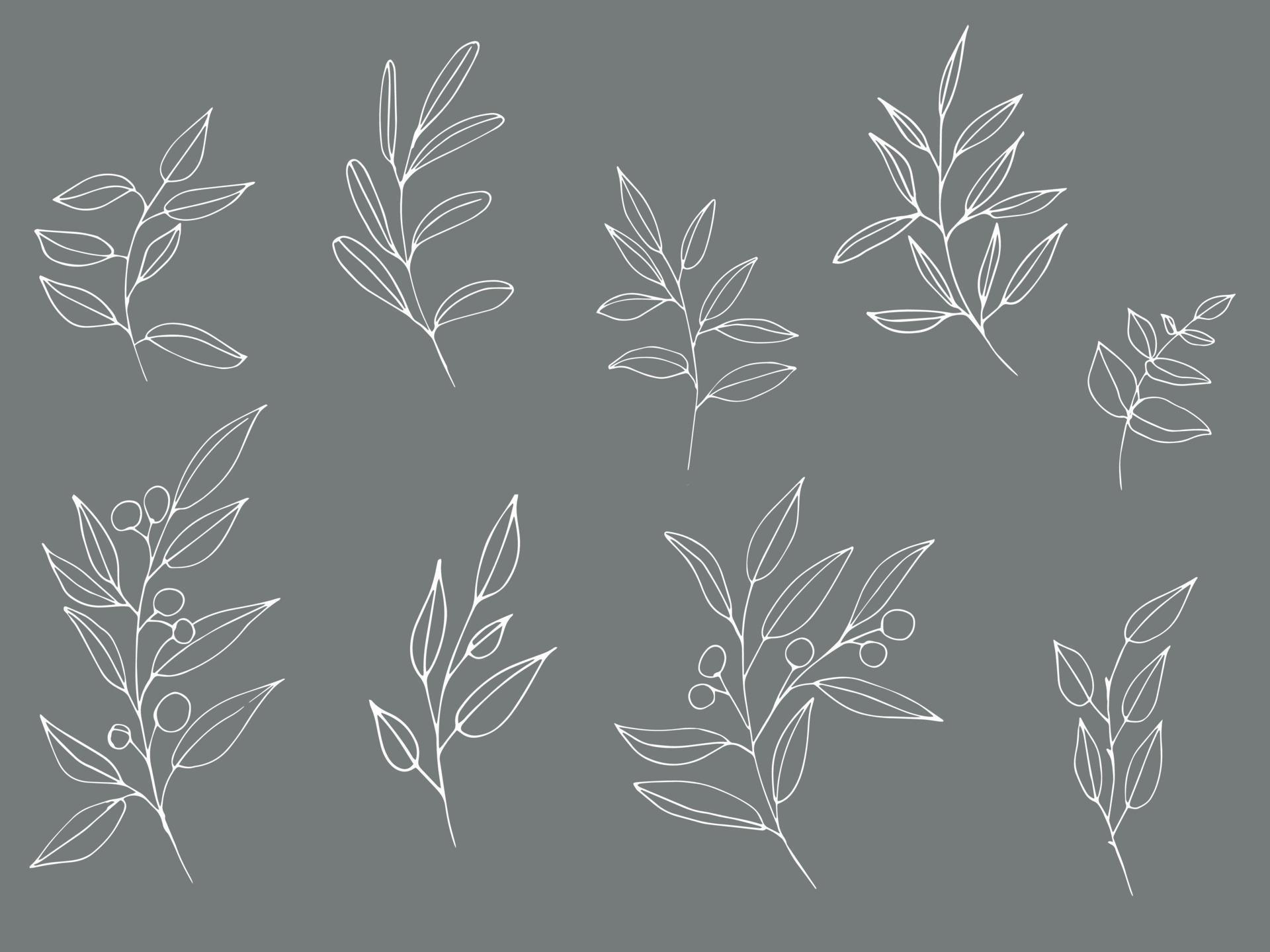 Set of graphic vector plant branches with leaves and flowers. Vector elements for wedding design, logo design, packaging and other ideas Stock Free