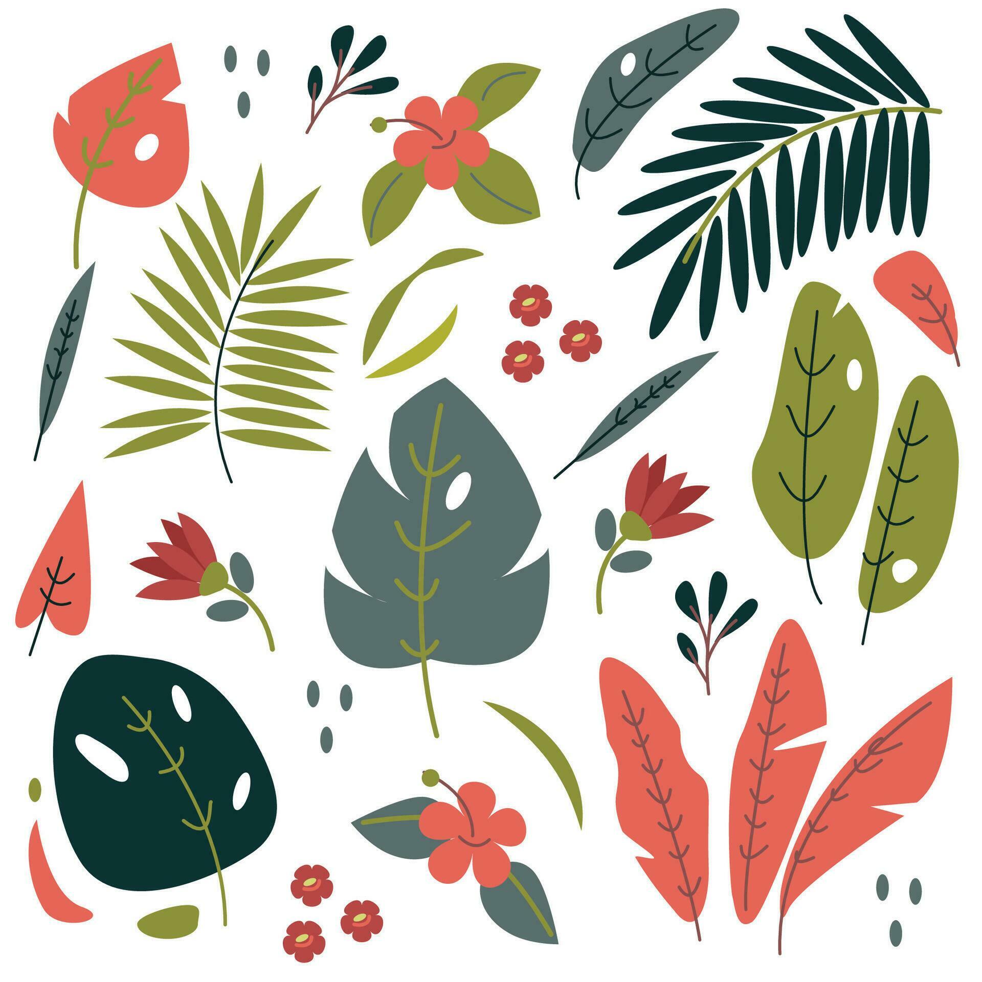 vector set with tropic plant and flowers Stock Free