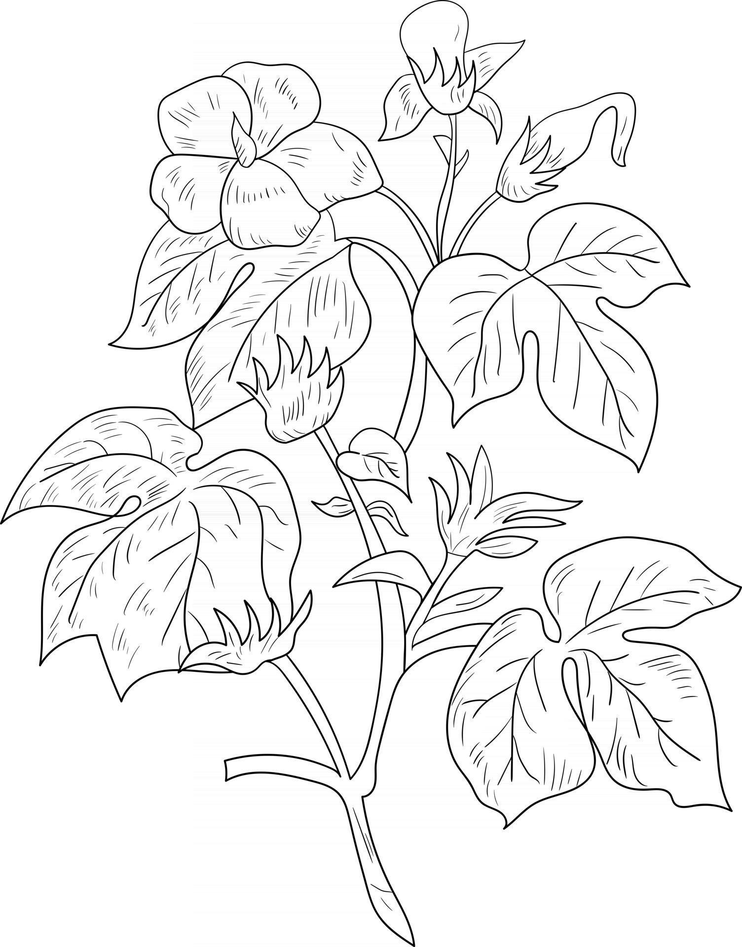 outline flower and leaves perfect for coloring page Stock Free