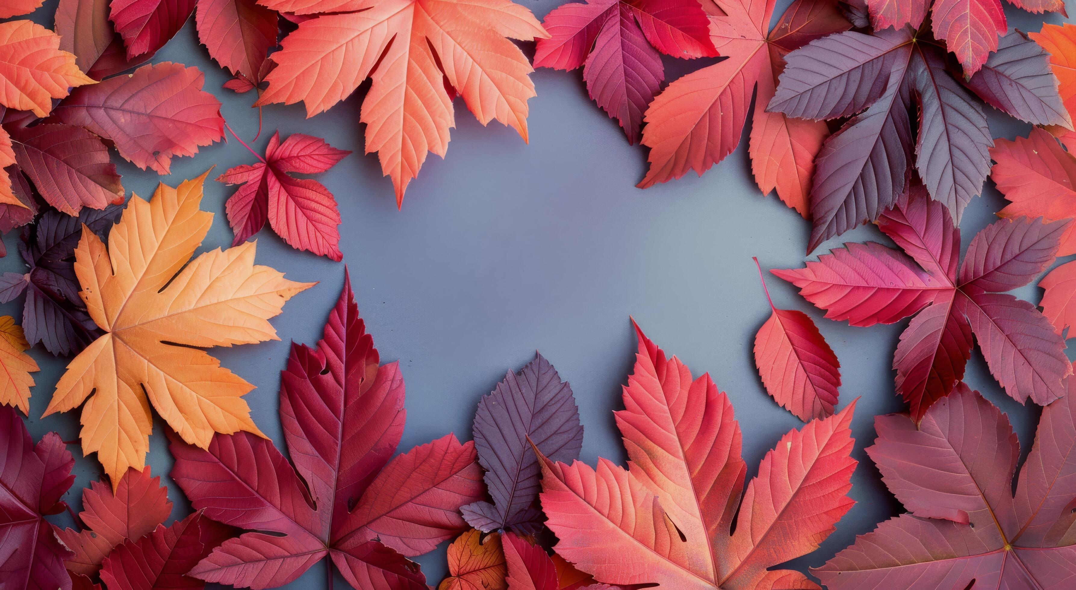 Autumn Leaves Border on Pink Background Stock Free