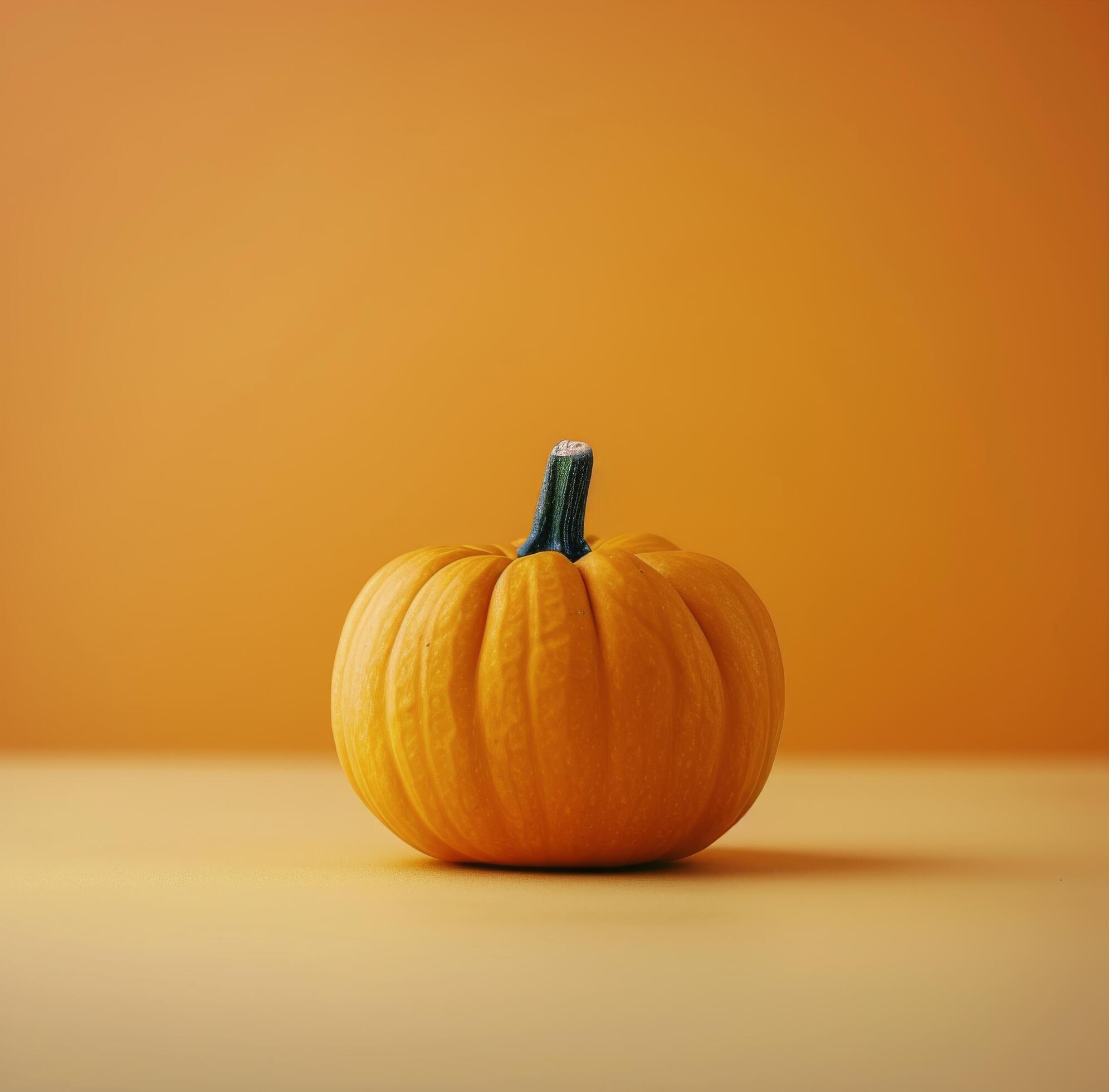 Single Pumpkin On Orange Background Stock Free