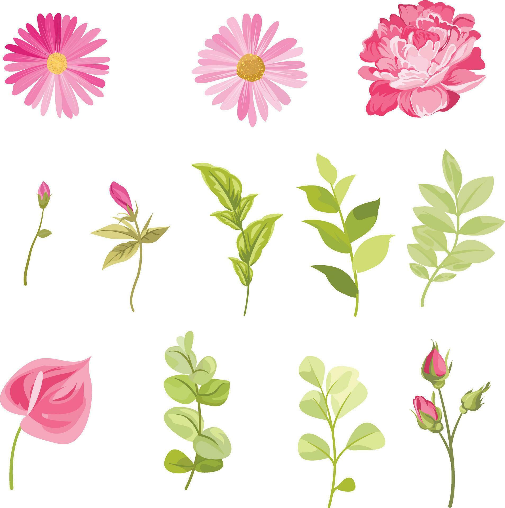 set of floral elements, flowers and leaves vector Stock Free