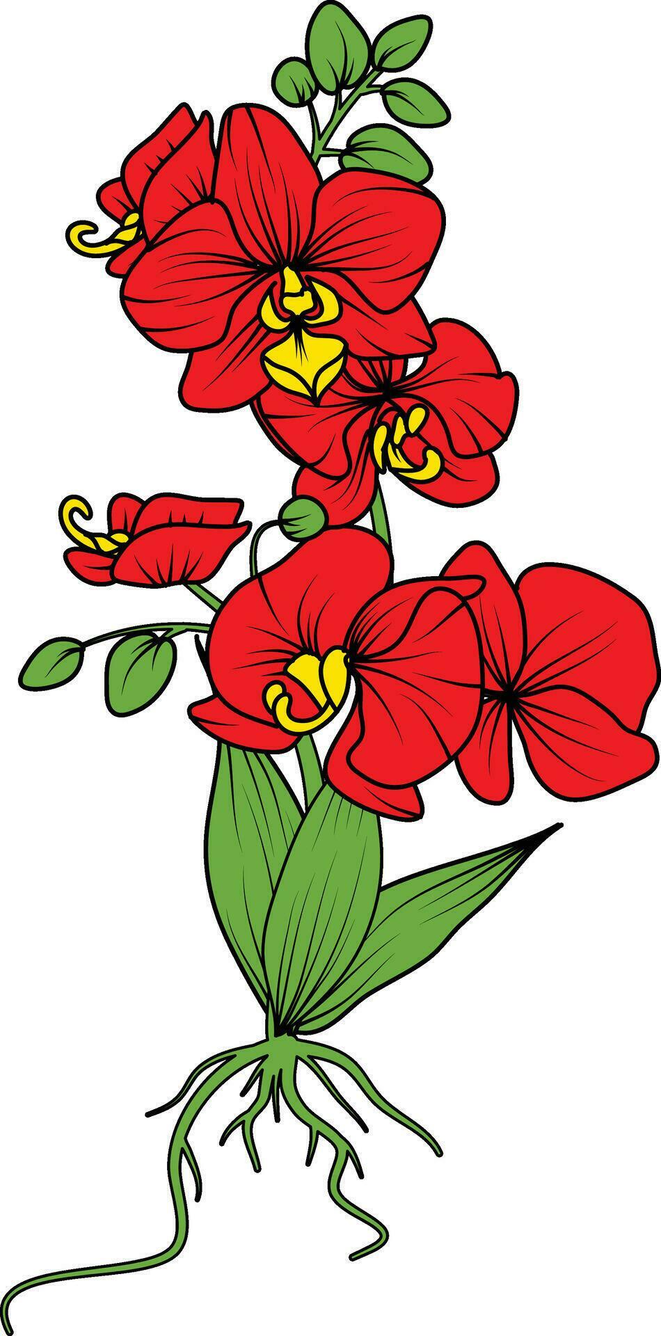 Red orchid branch vector flower, illustration of beautiful red orchid flower Stock Free