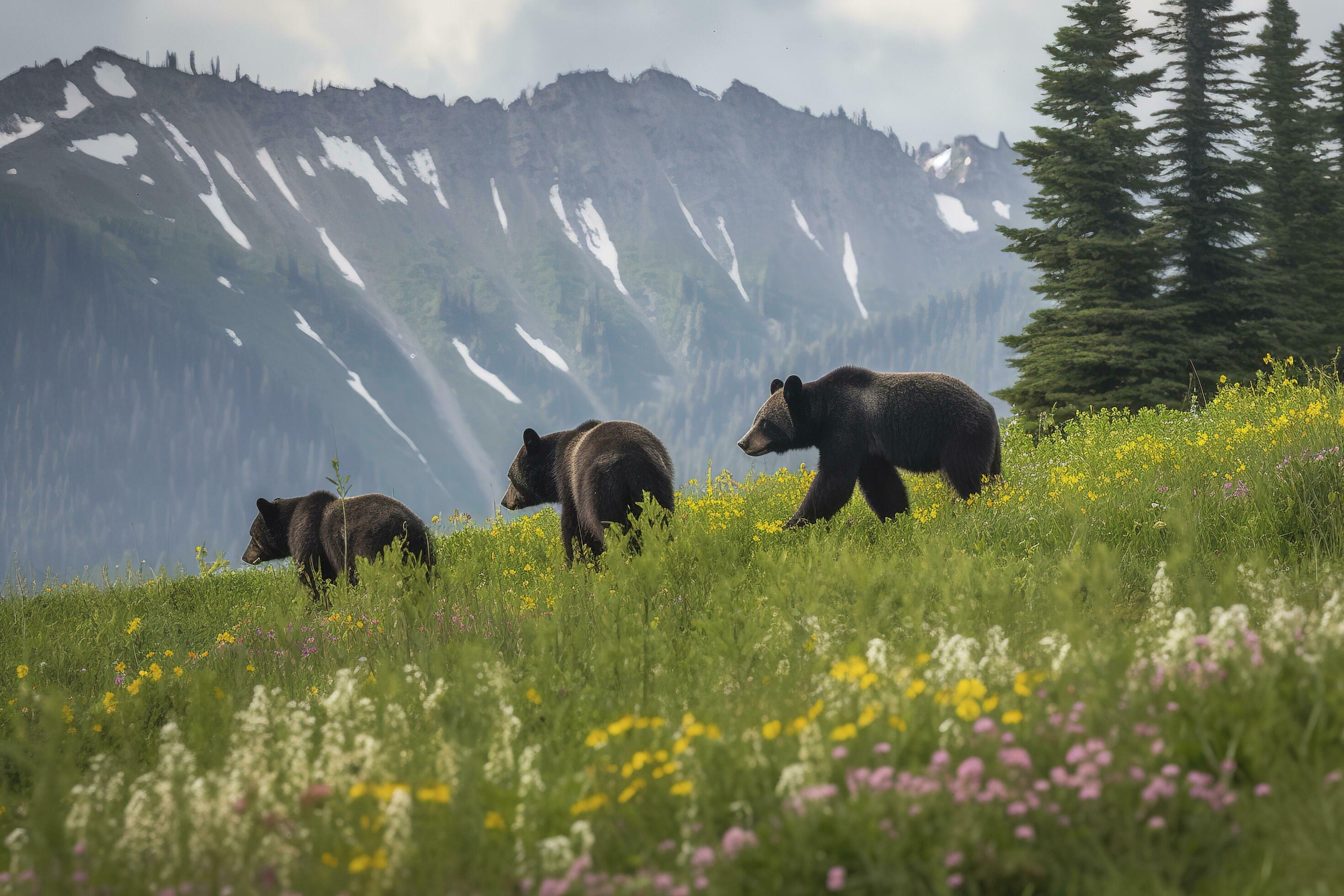 A family of bears playing in a field of wildflowers with a mountain range in the background, generate ai Stock Free