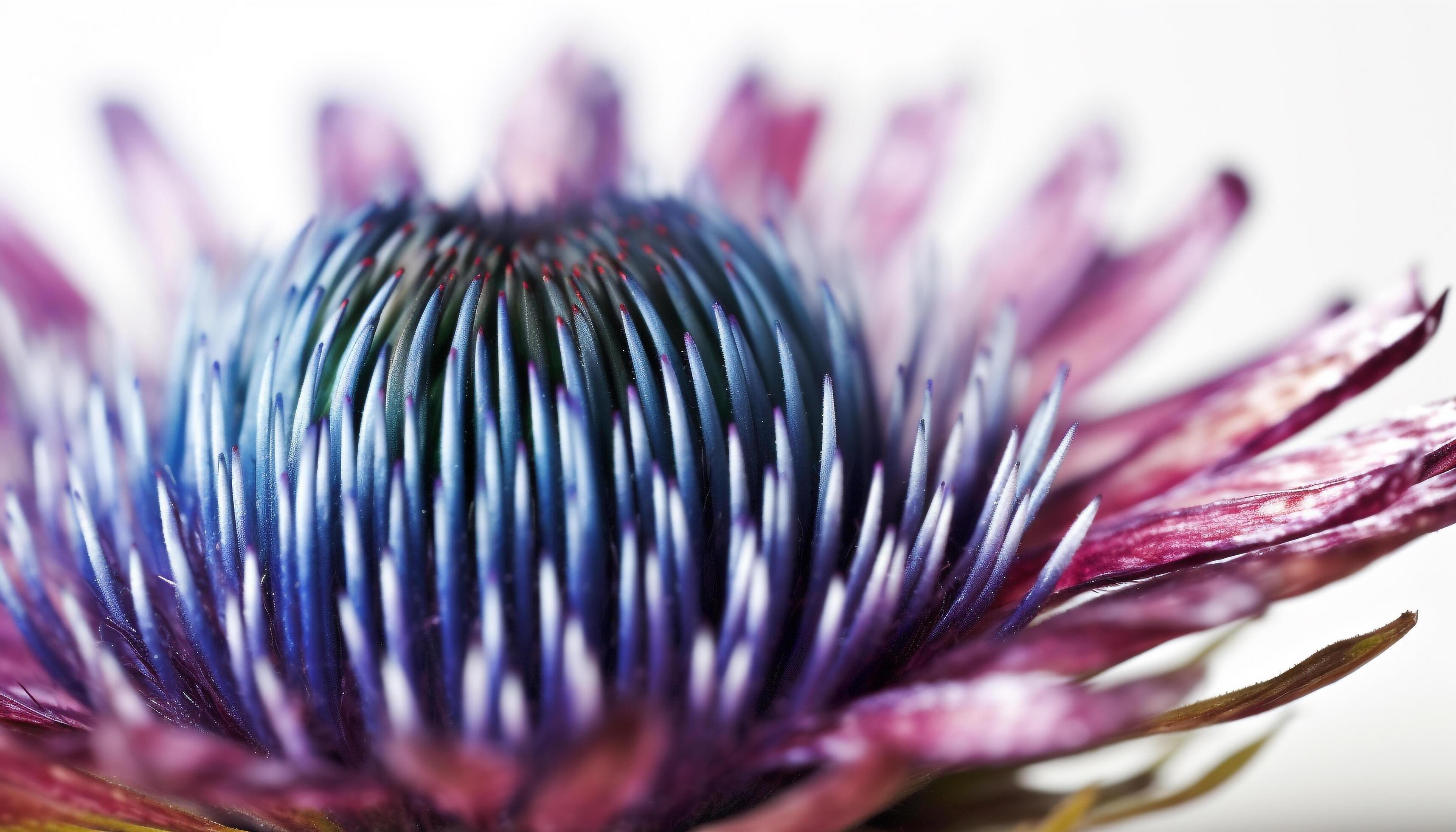 Sharp purple petal, extreme close up of single flower in nature generated by AI Stock Free