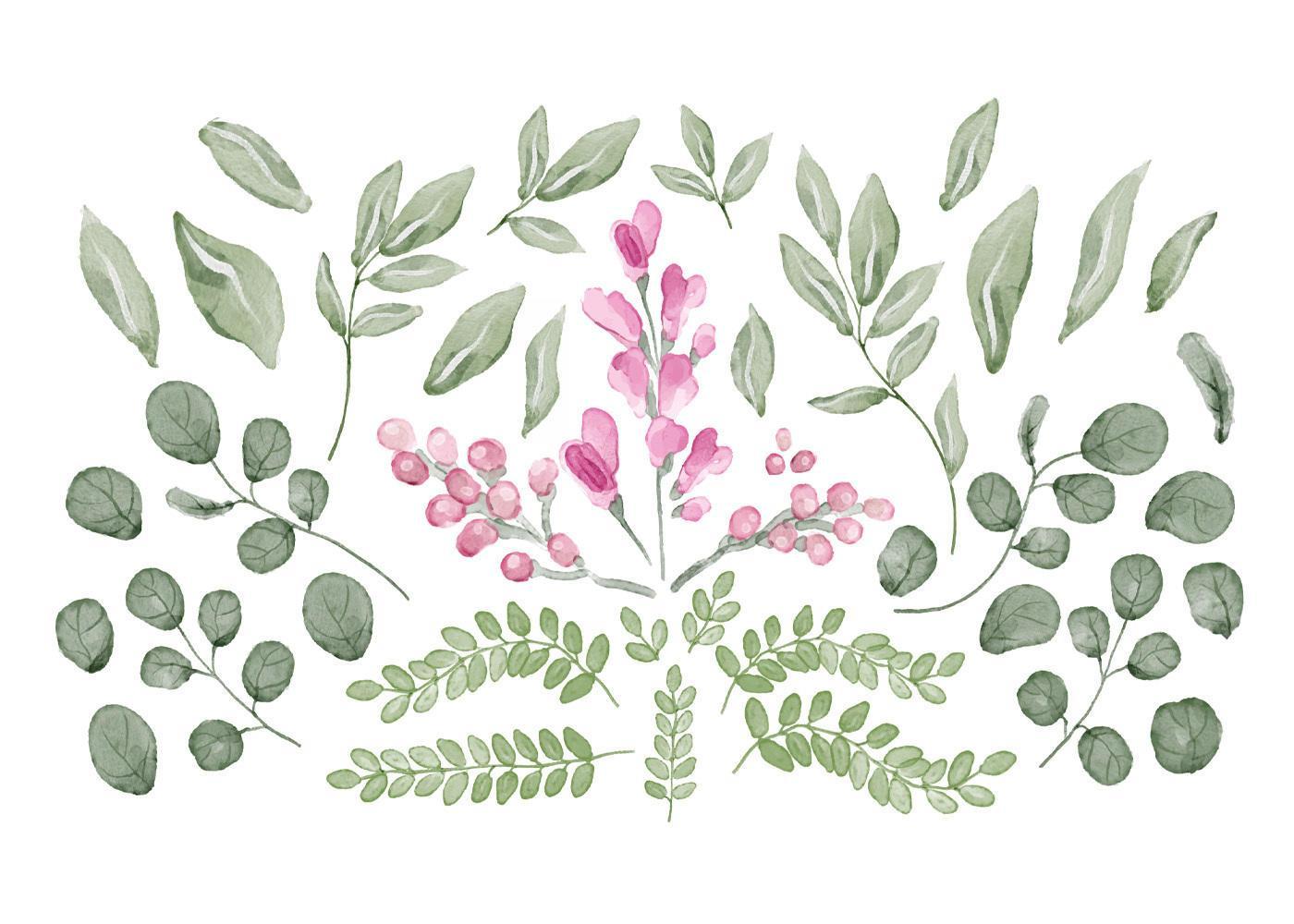 Collection of Leaves and Flowers in Watercolor Stock Free