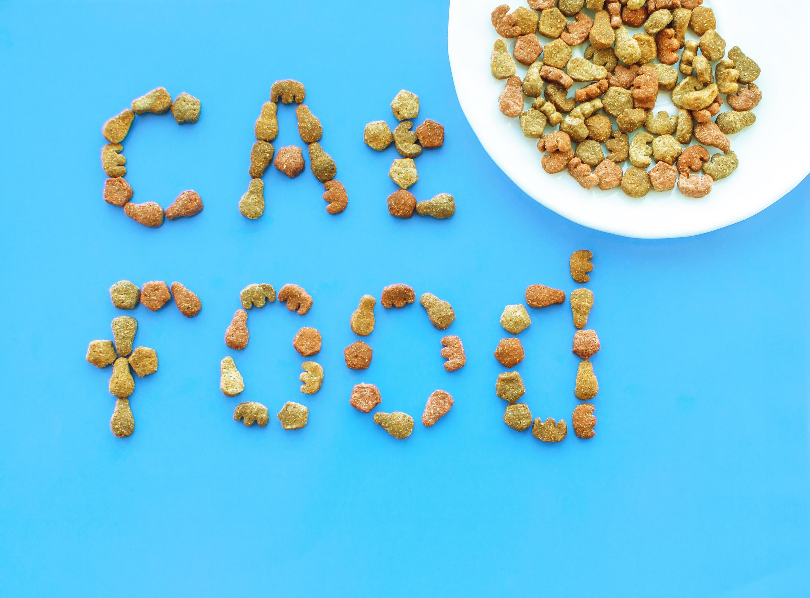 A bowl of cat food on a blue background with the inscription cat from pieces of food. The view from the top Stock Free