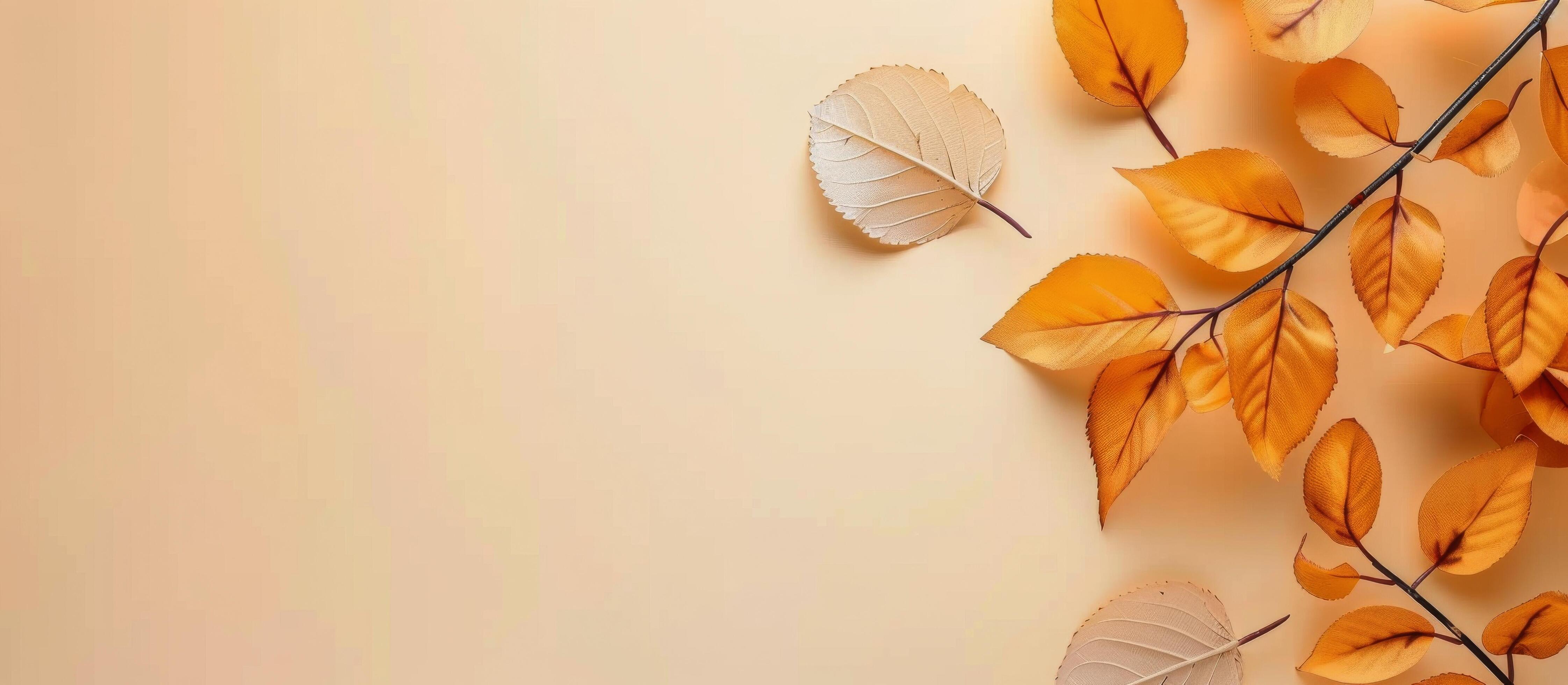 Autumn Leaves on Beige Background Stock Free