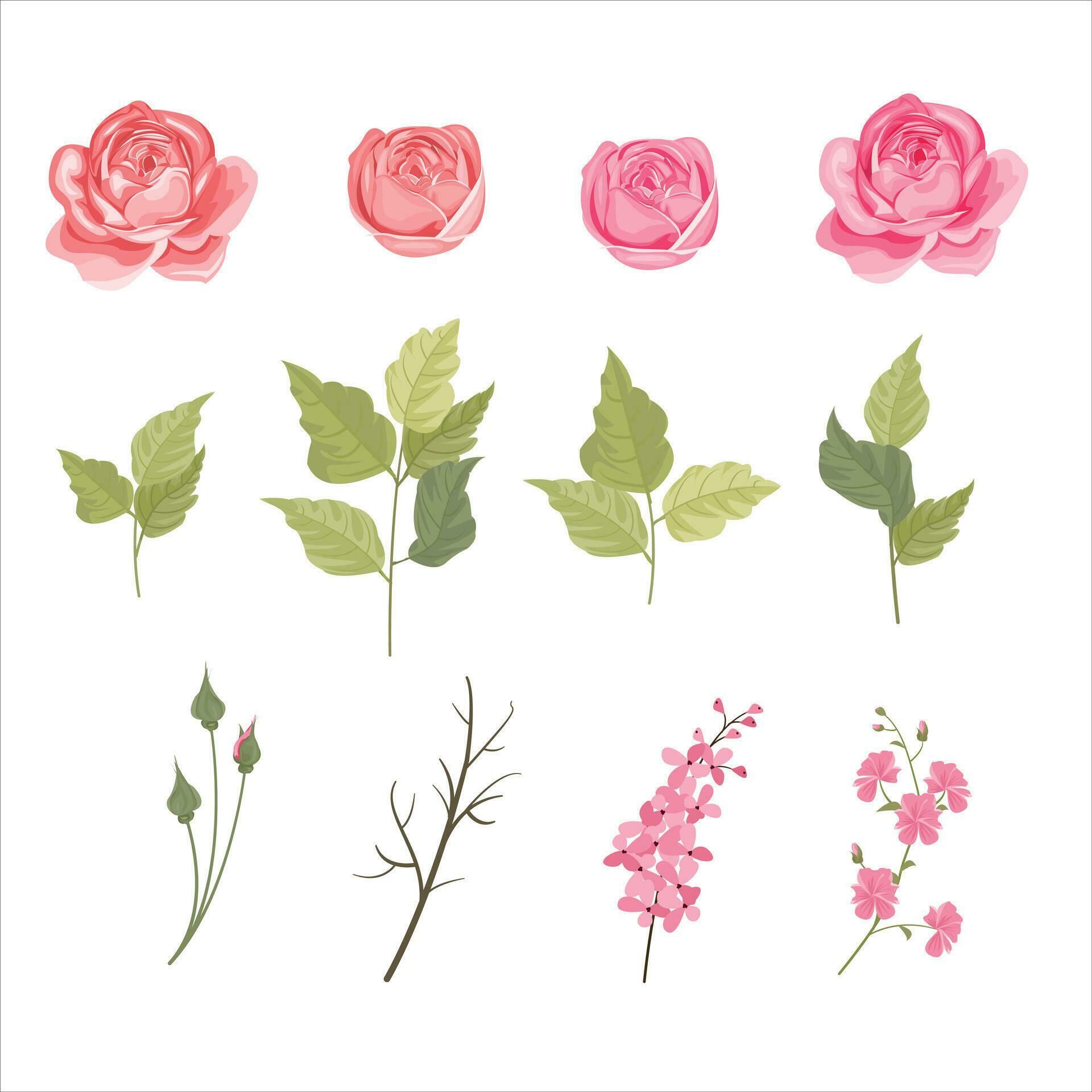 set of floral and leaf elements, peonies, rose flower elements Stock Free