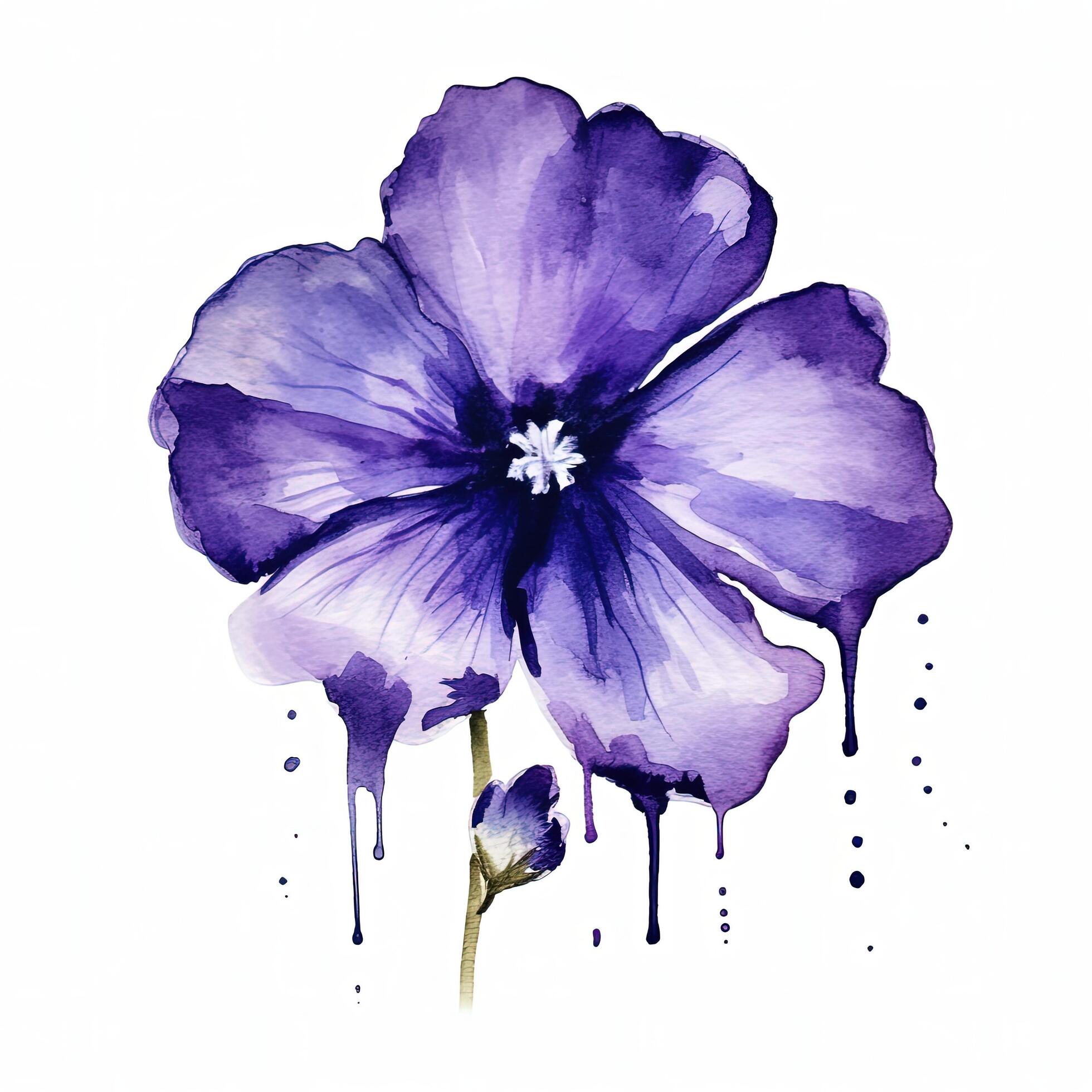 Violet watercolor flower. Illustration Stock Free