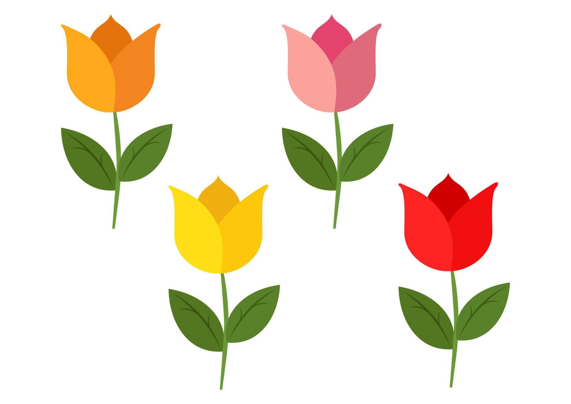 Four tulips of different colors isolated on a white background. Vector illustration of four colored tulips Stock Free