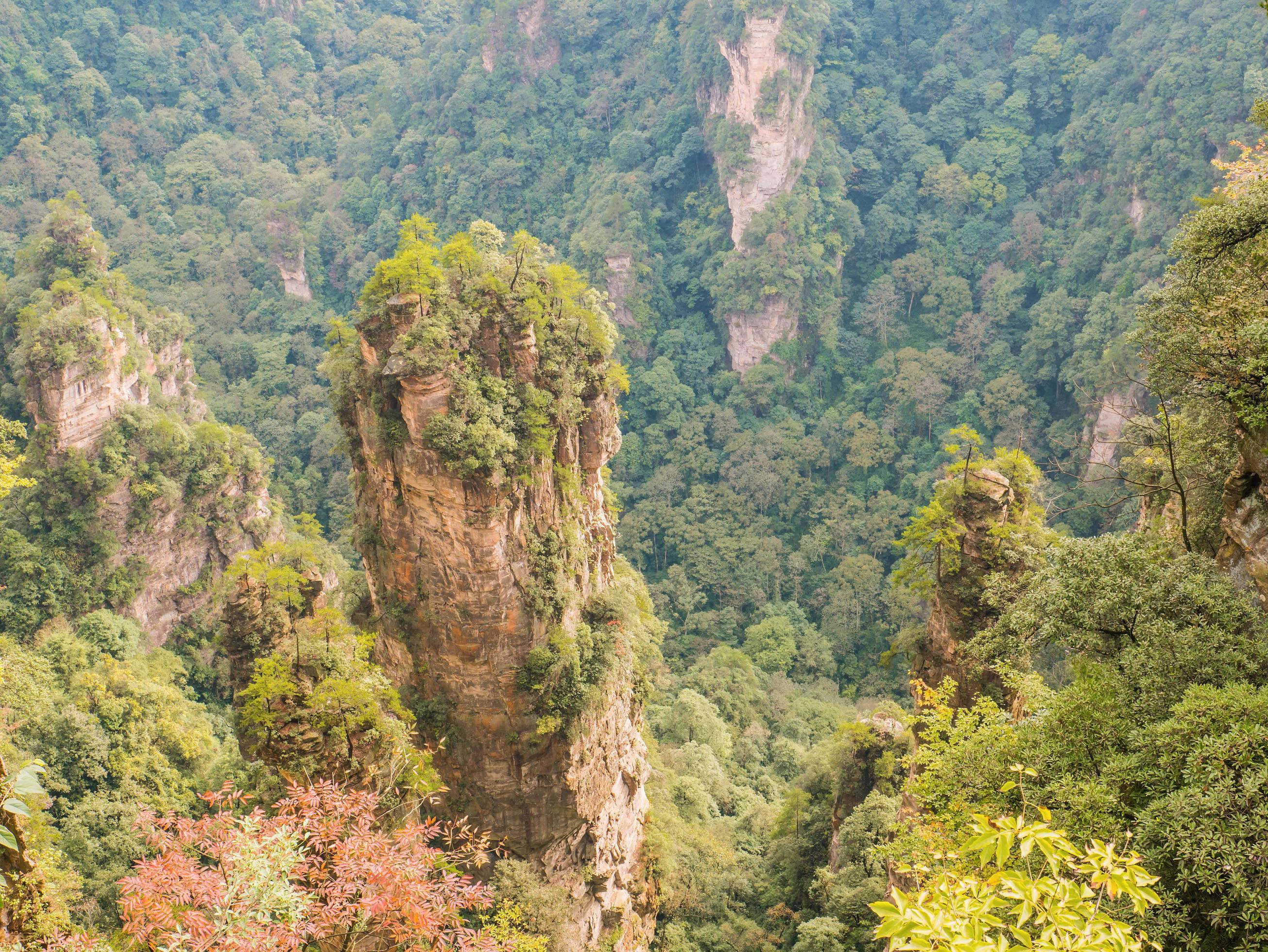 Beautiful mountain of Yuanjiajie or Avartar mountain at Zhangjiajie National Forest Park in Wulingyuan District Zhangjiajie City China Stock Free