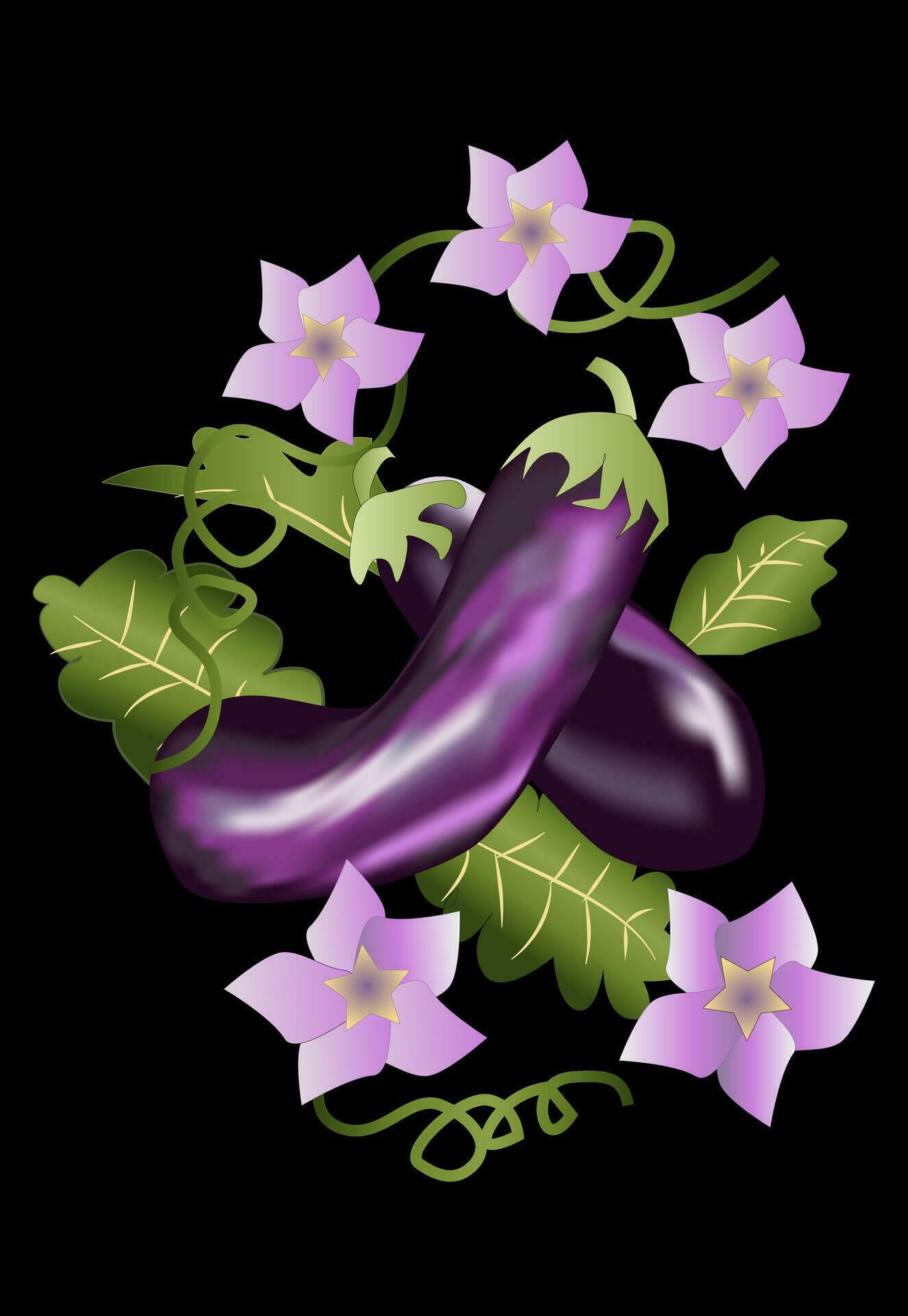 Eggplant and Flower Vector Stock Free