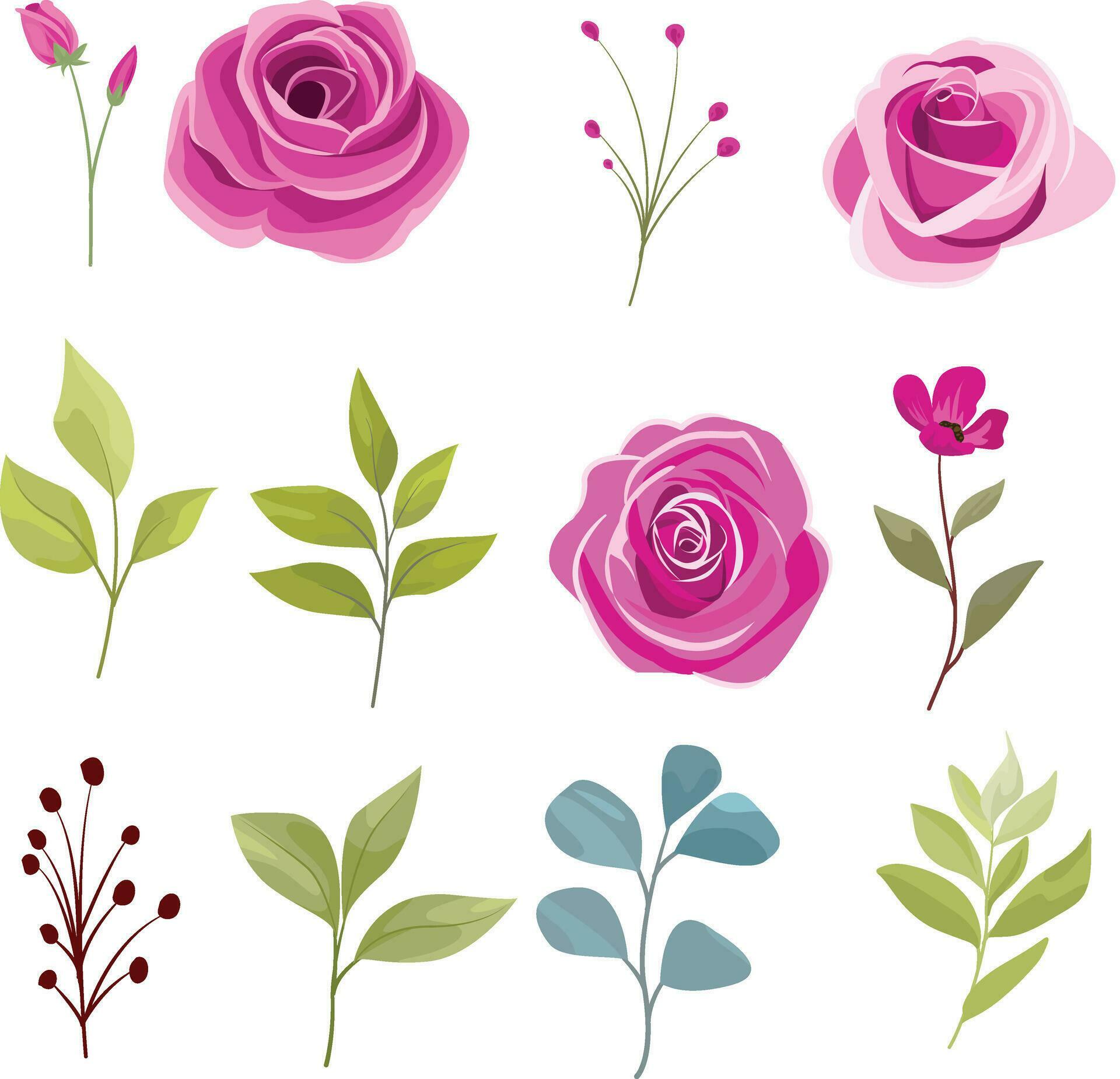 rose flower vector element set Stock Free