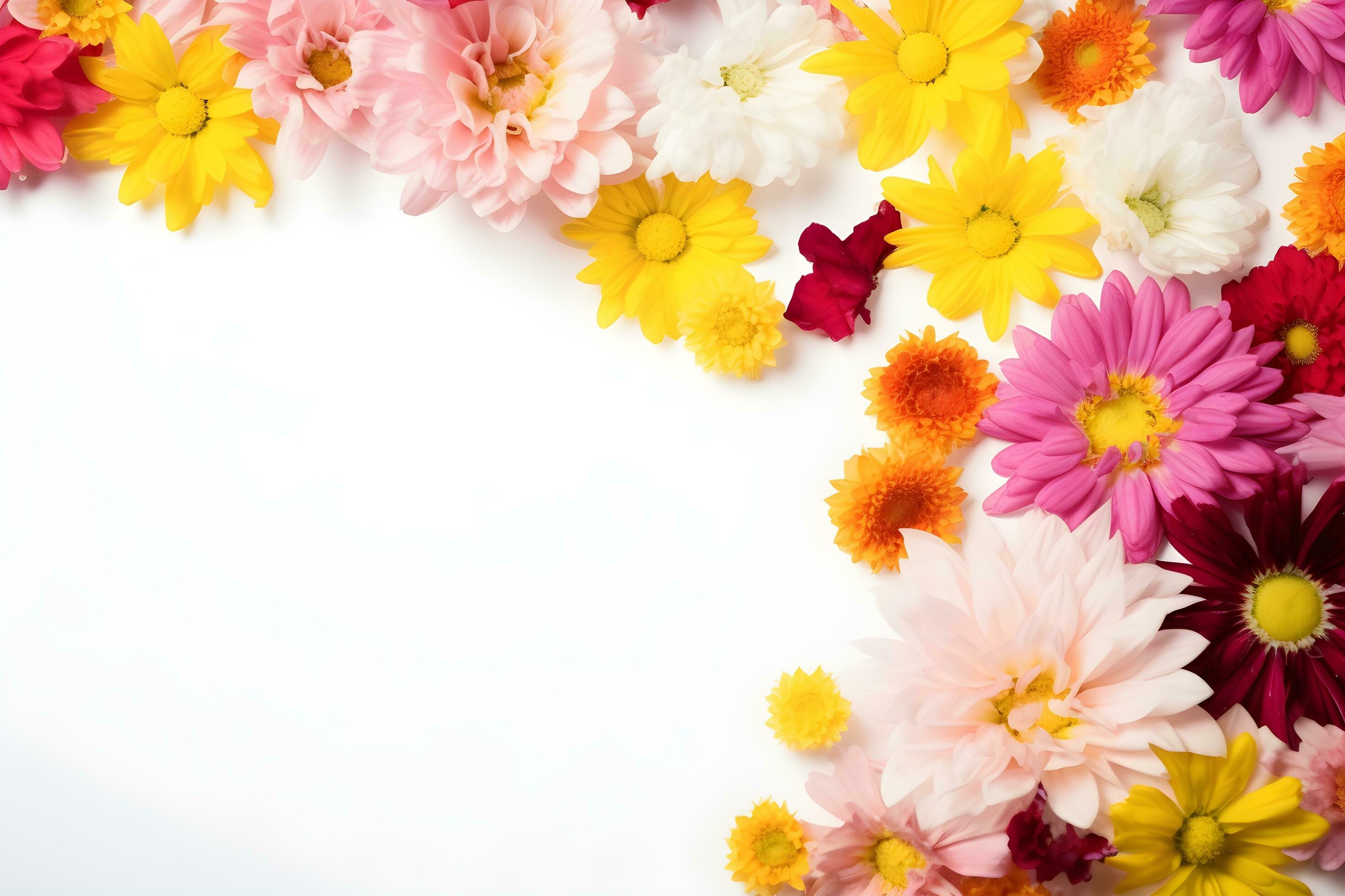 Colorful flowers composition on white background Stock Free