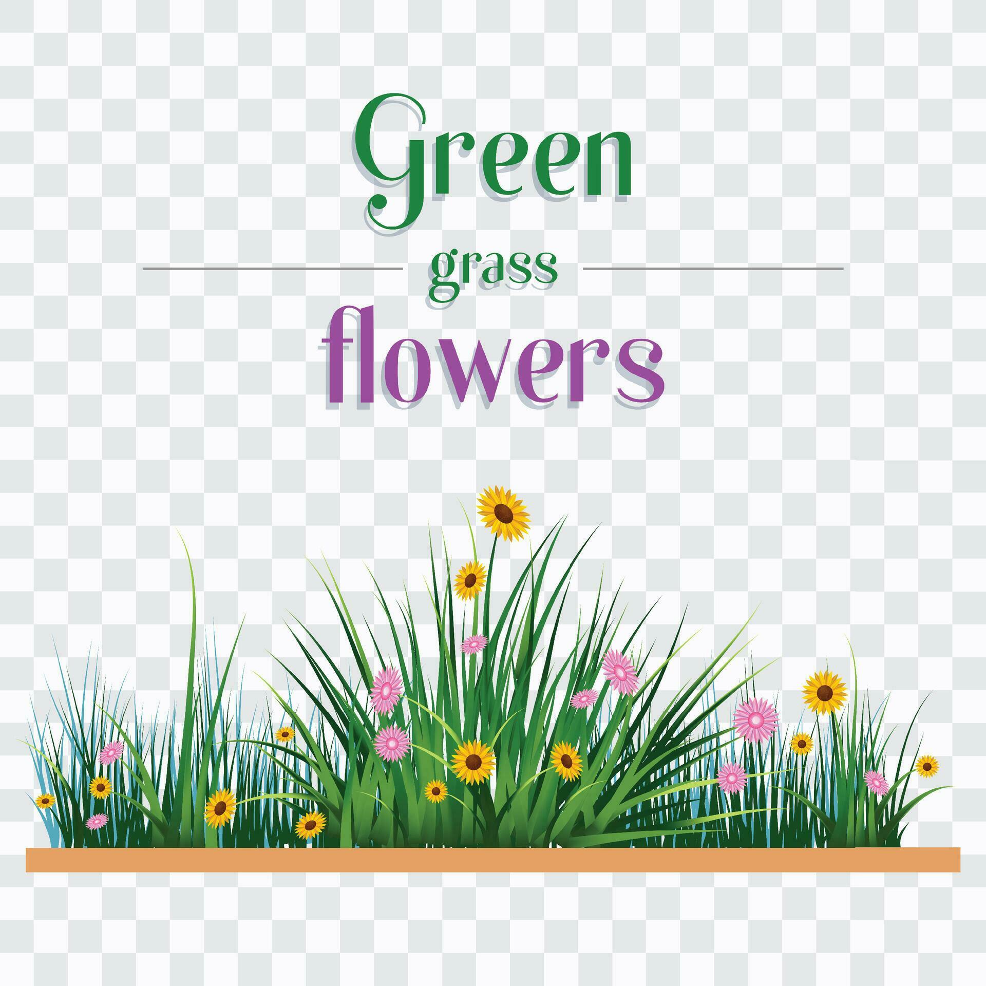 Grass And Flower Green Background Stock Free