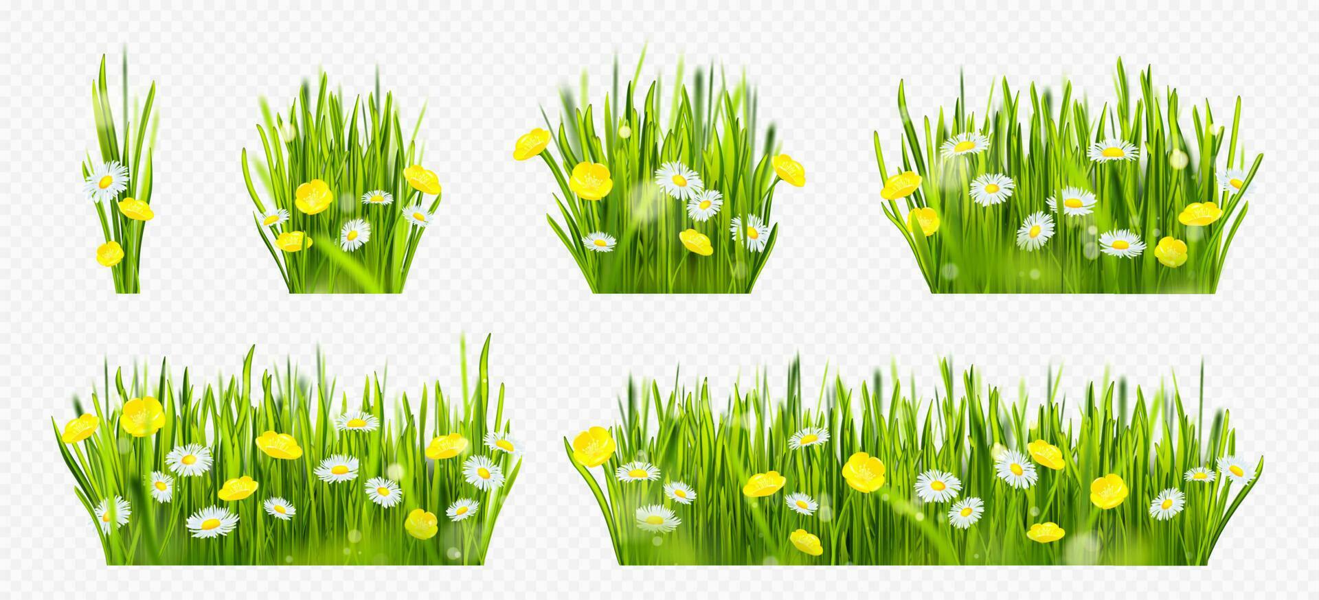 Realistic spring green grass field with flowers Stock Free