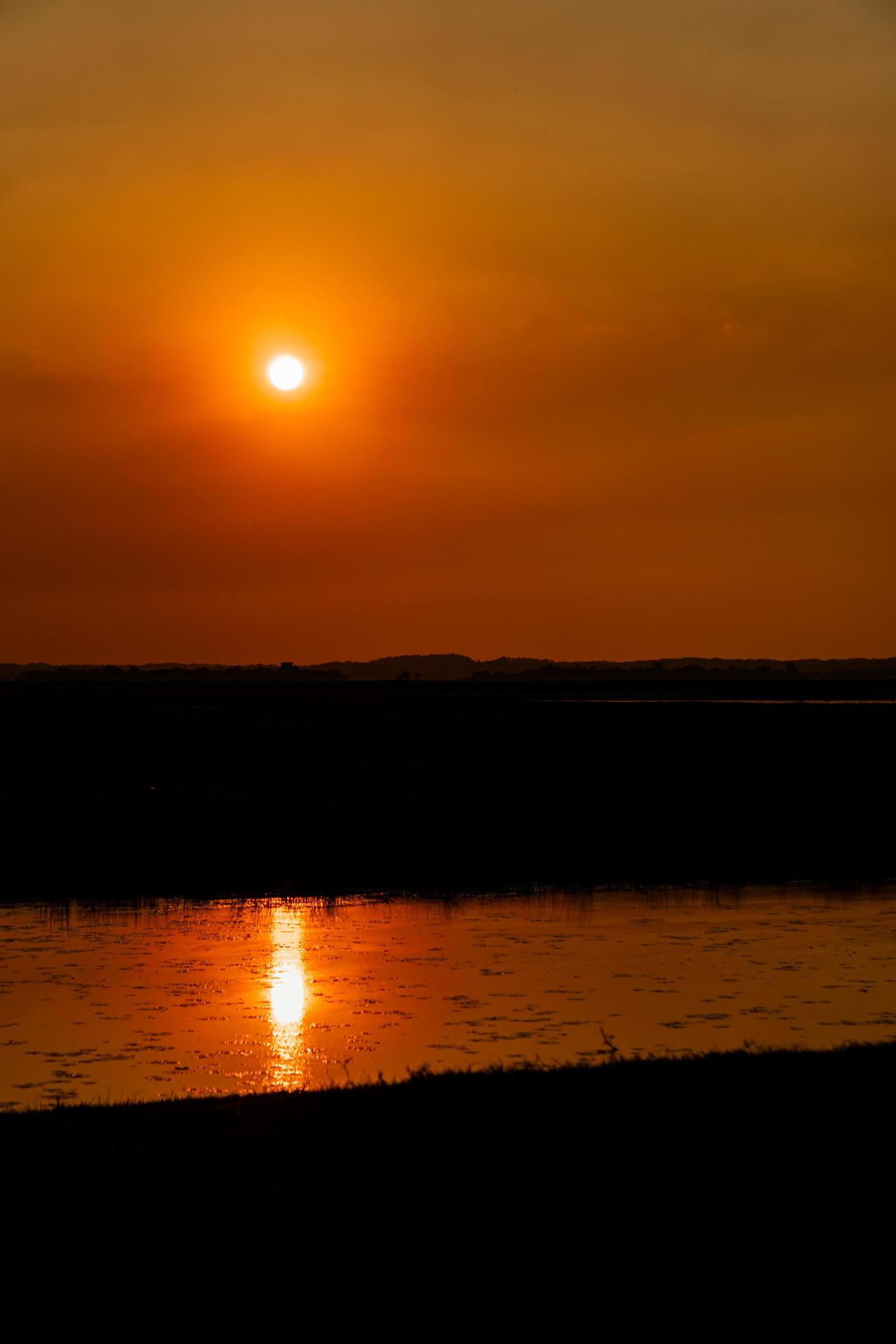 End of the afternoon, Nature, Landscape photo of a river at sunset Stock Free