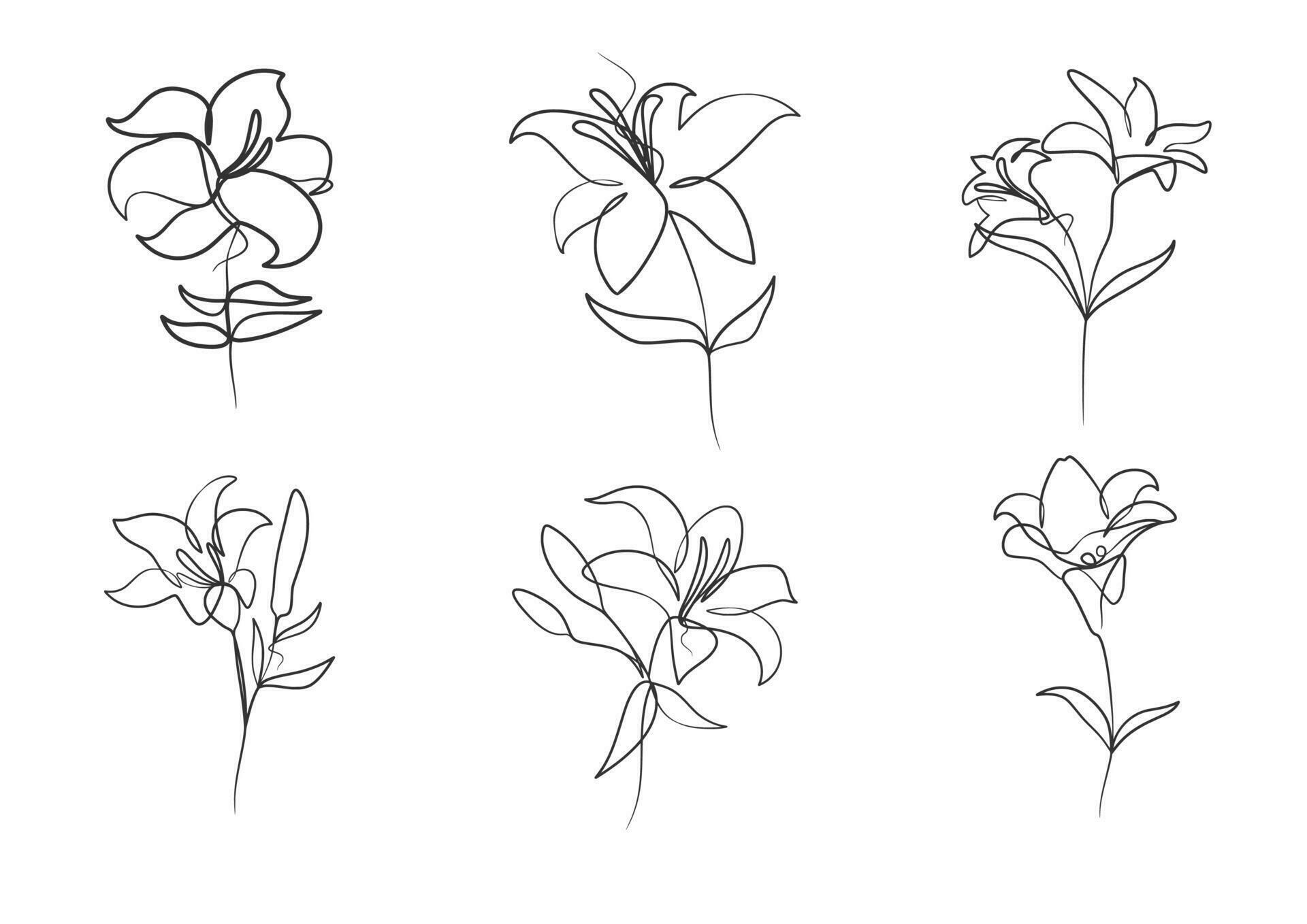 Continuous one line art drawing of beauty lily flower Stock Free