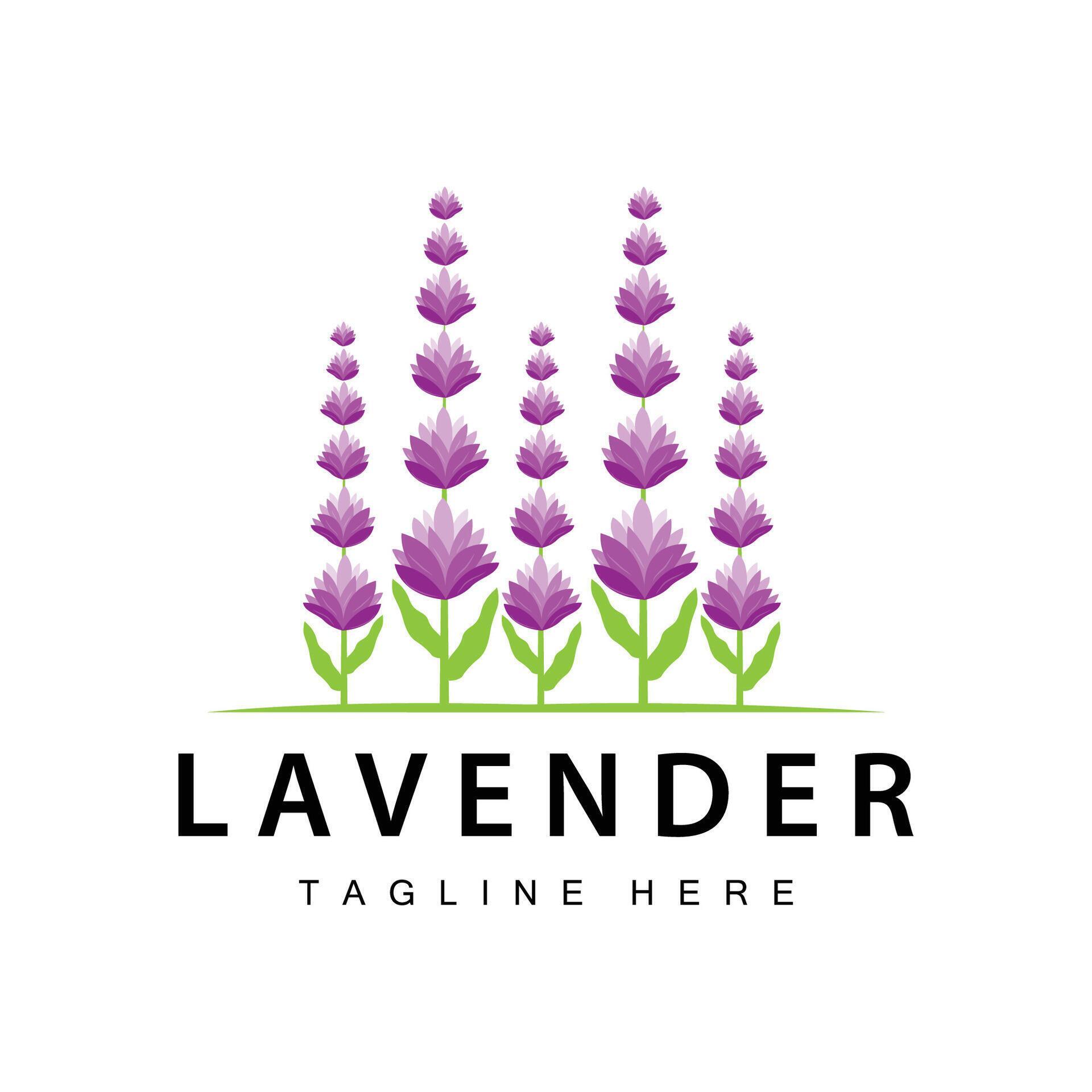 Lavender logo simple design vector cosmetic plant purple color and aromatherapy lavender flower garden template Stock Free