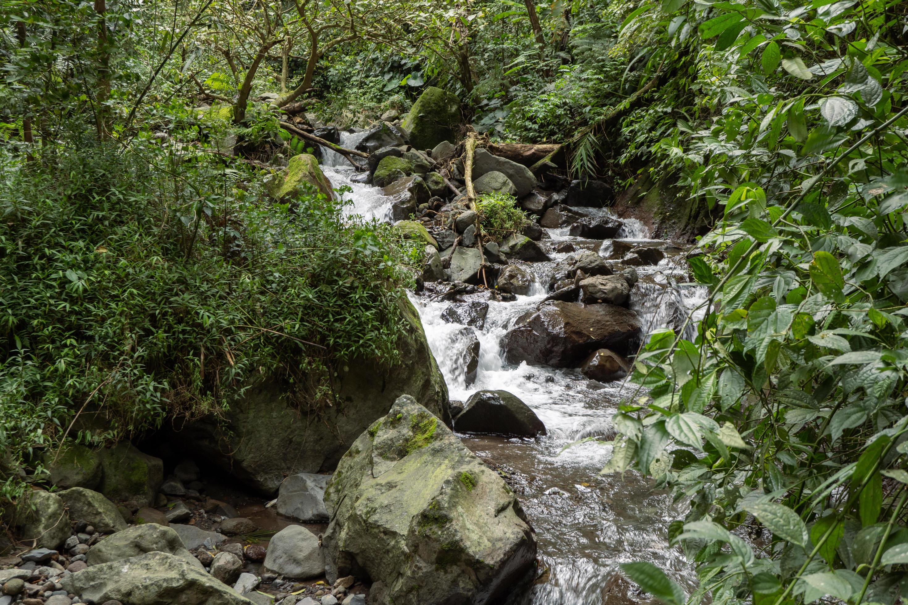 Scenery of single water fall on the tropical forest. The photo is suitable to use for adventure content media, nature poster and forest background. Stock Free